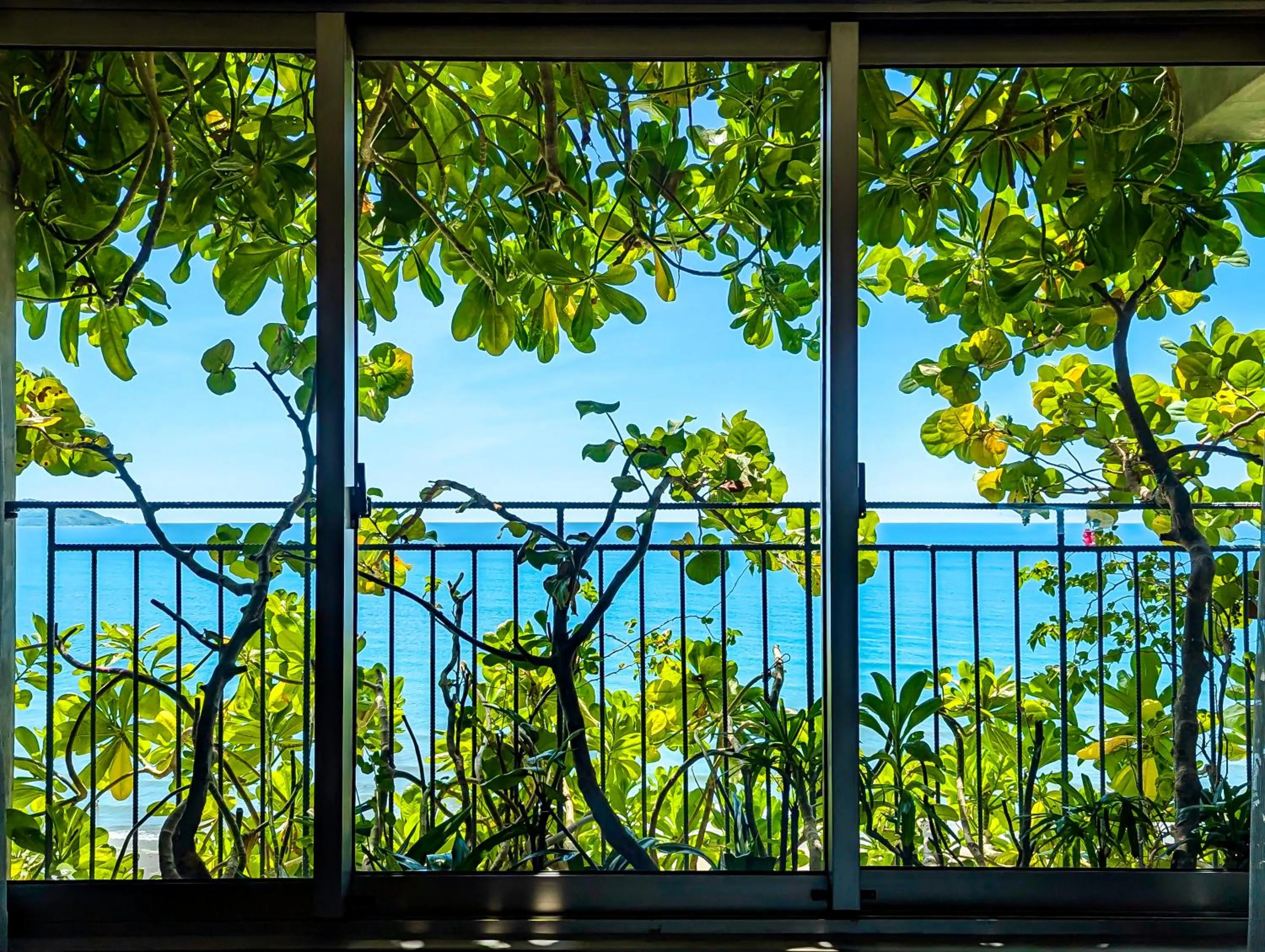 Natural landscape in M Hotel Danang