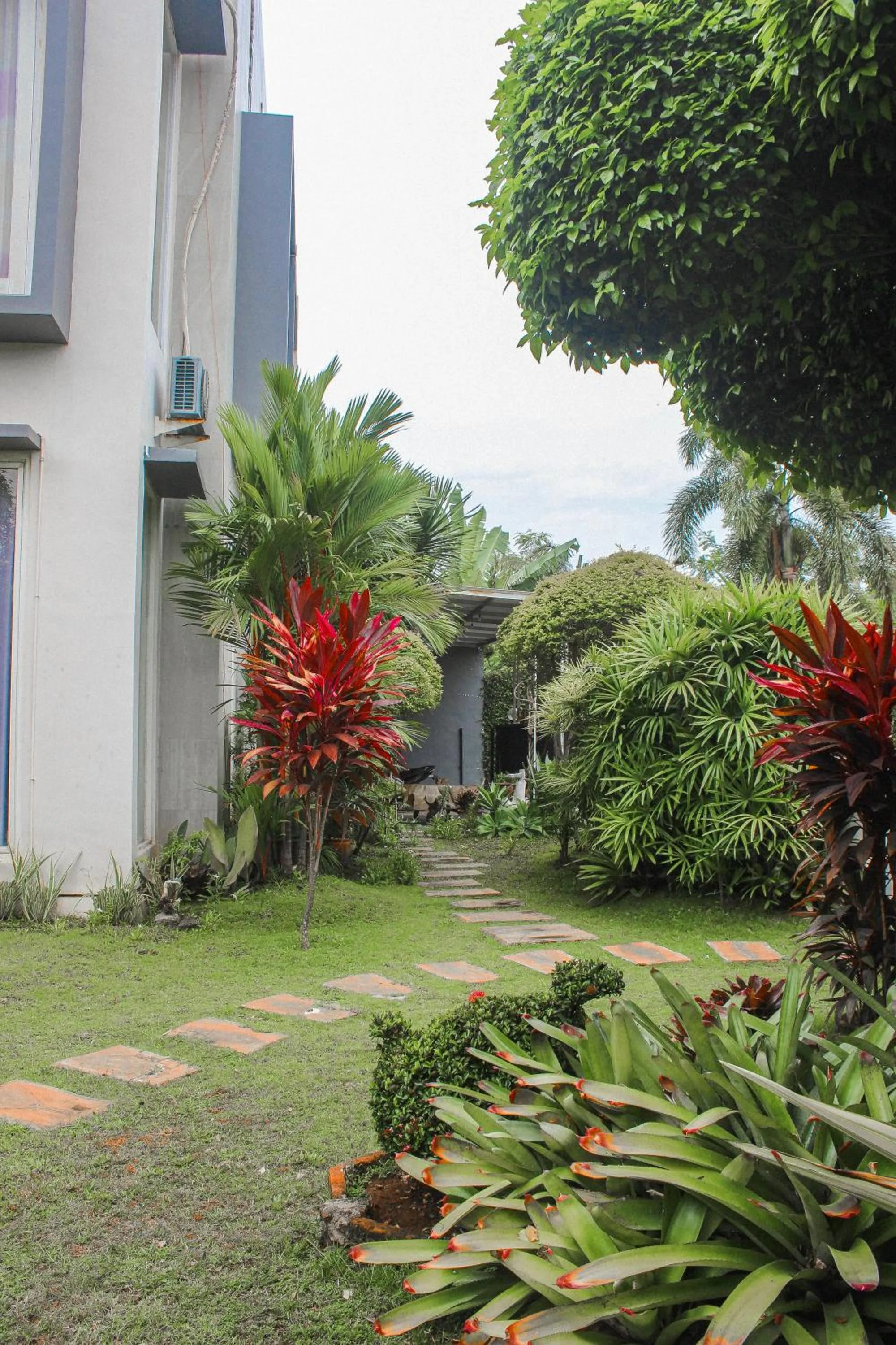 Garden in Omah Ulfah Homestay