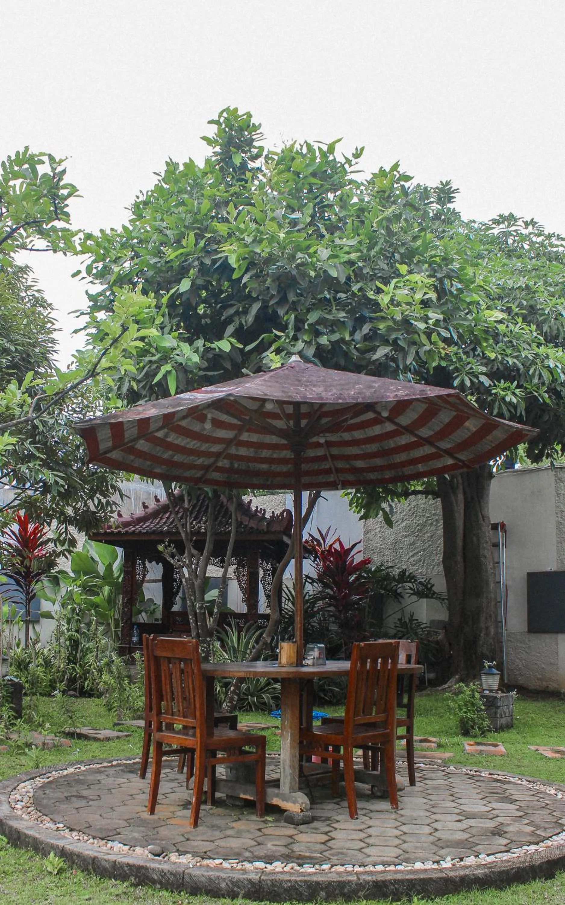 Garden in Omah Ulfah Homestay