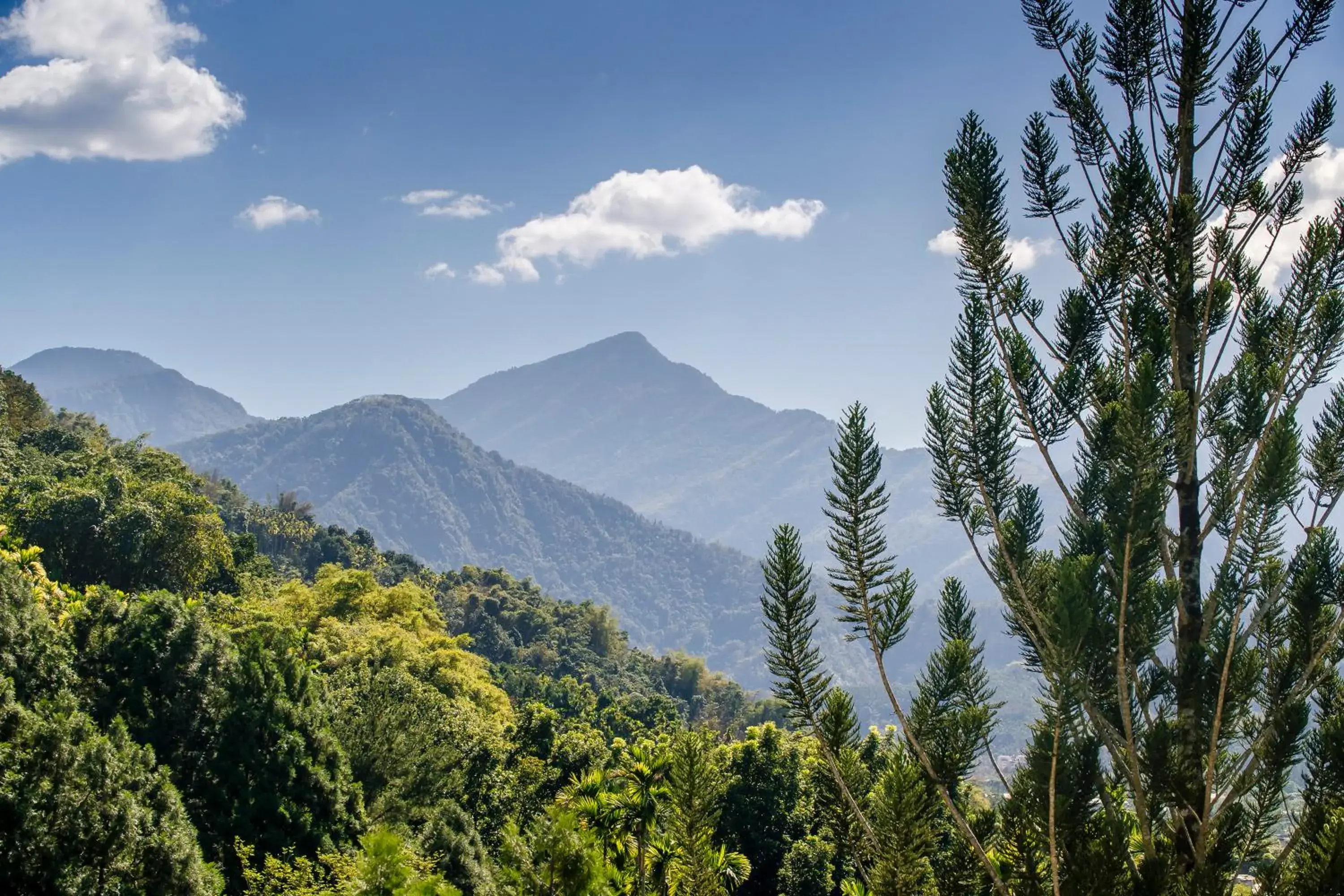 Hills Velleys Hills Velleys