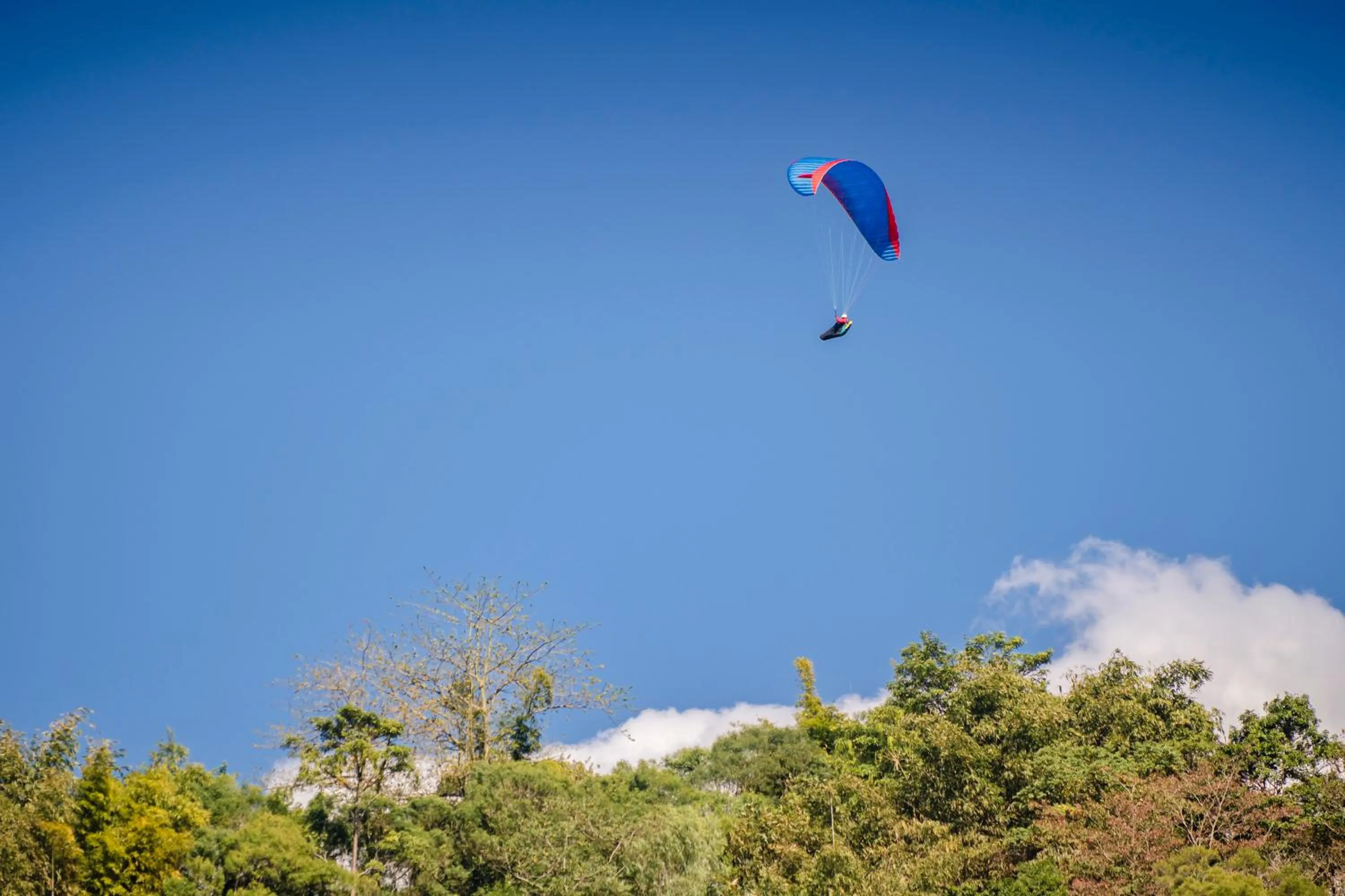 Natural landscape in Hills Velleys