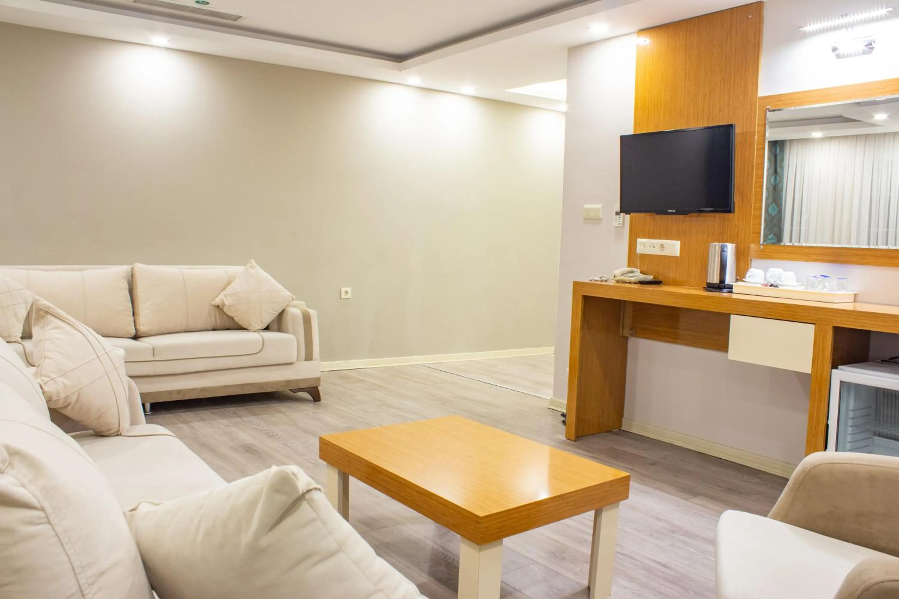 TV and multimedia in Sumela Park Hotel