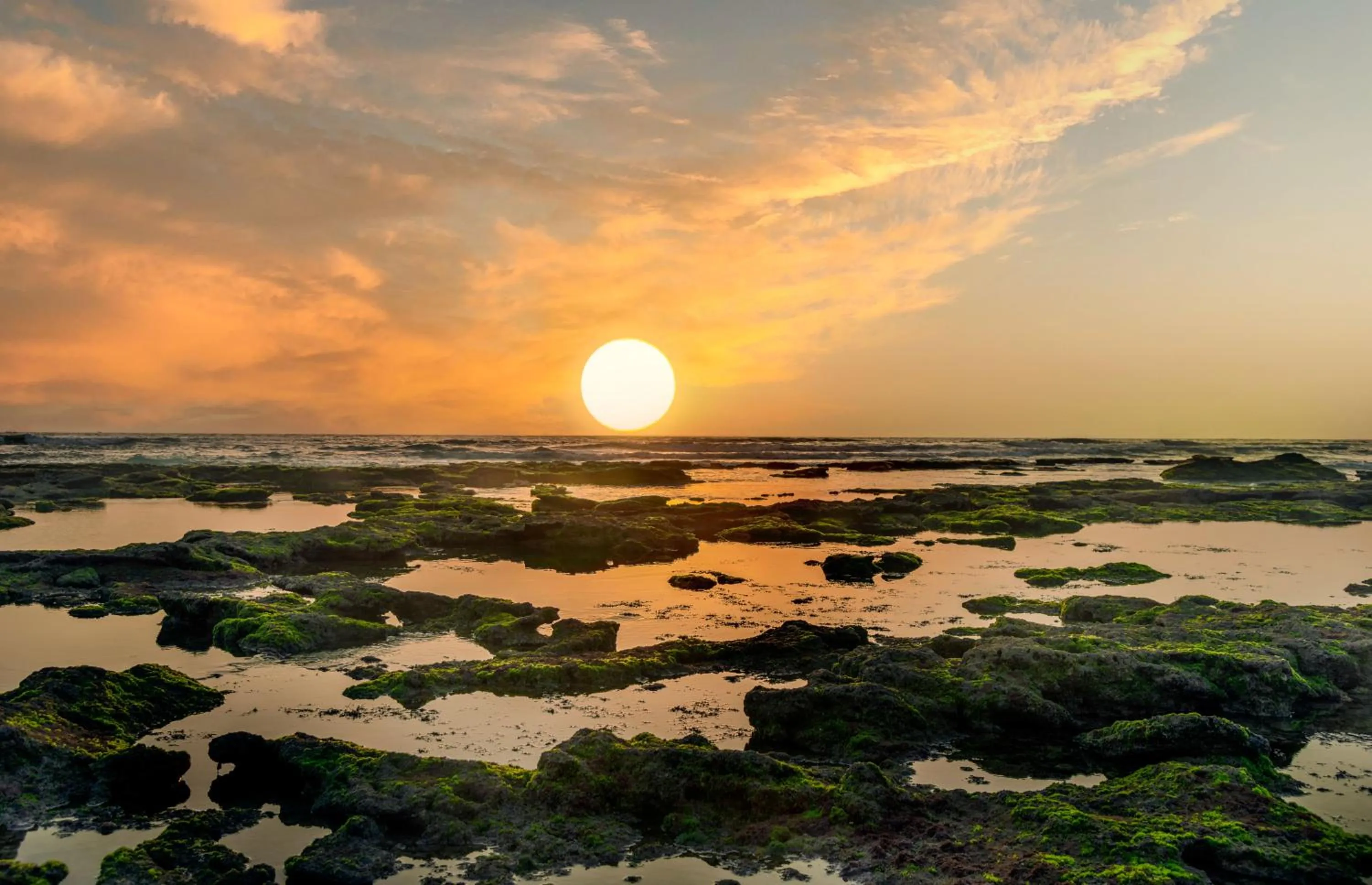 Natural landscape in Dwarkadhish Lords Eco Inn