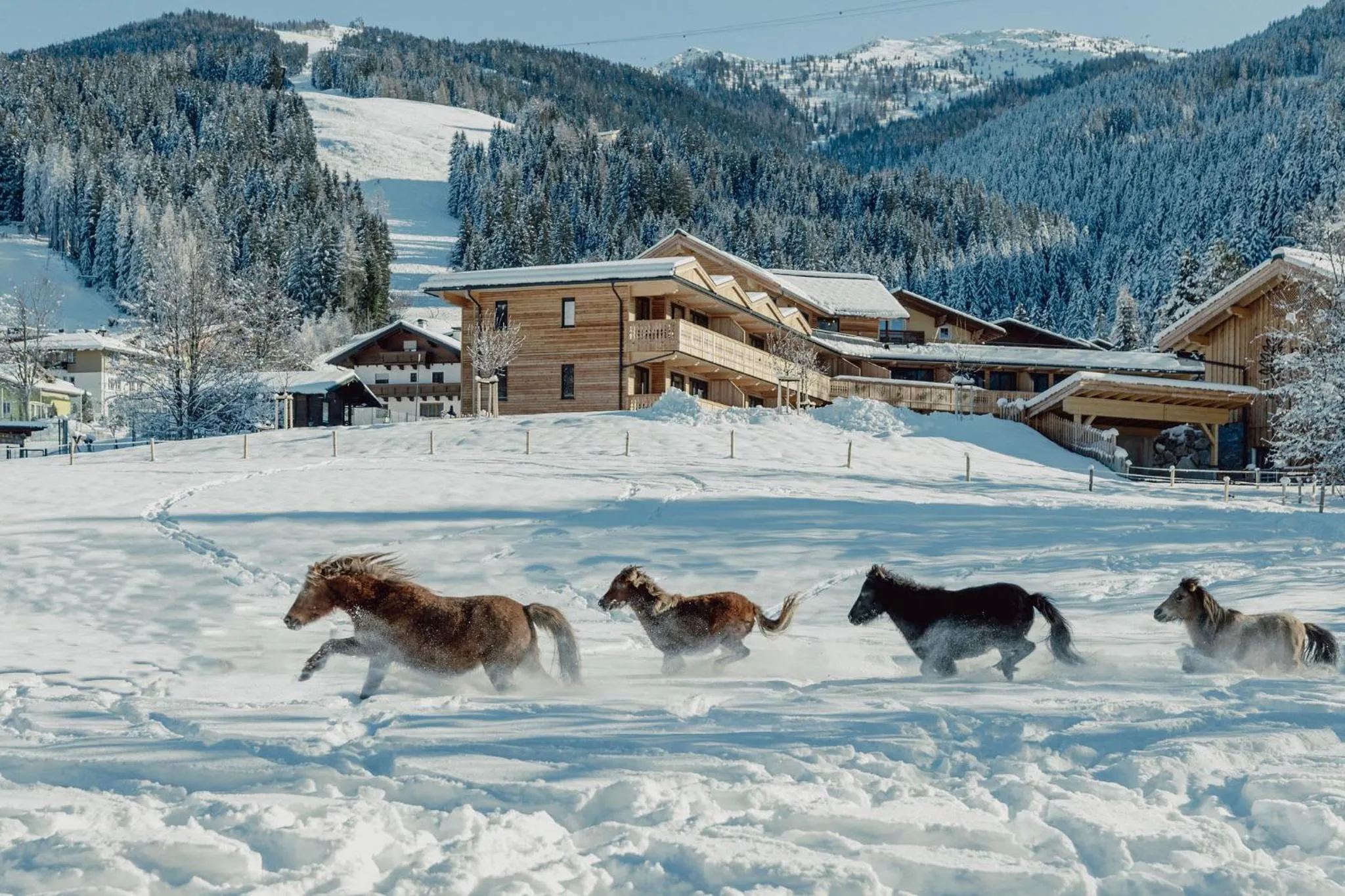 Mariengut - Natur Aparthotel Kramer