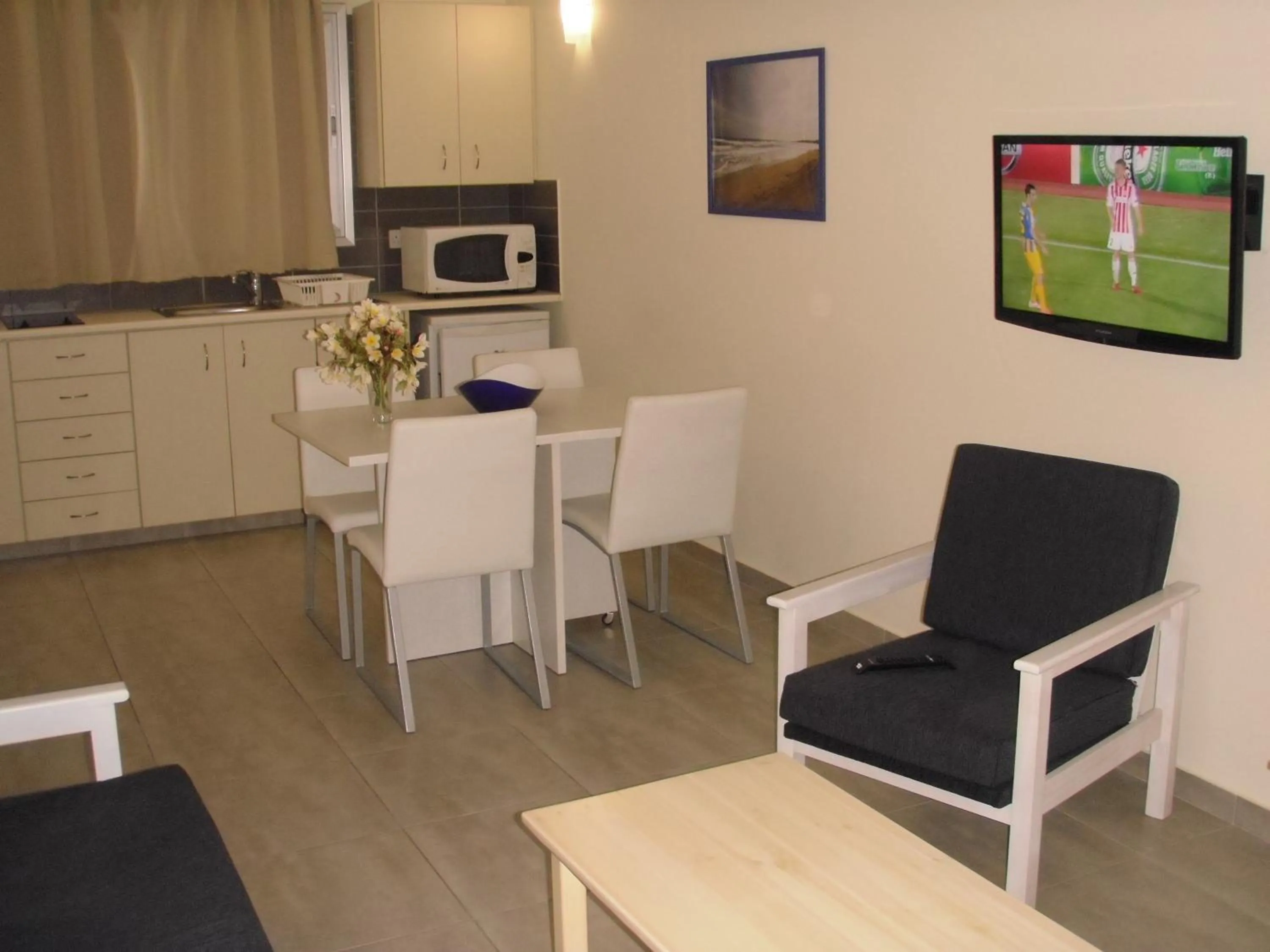 Kitchen or kitchenette in Eligonia Hotel Apartments
