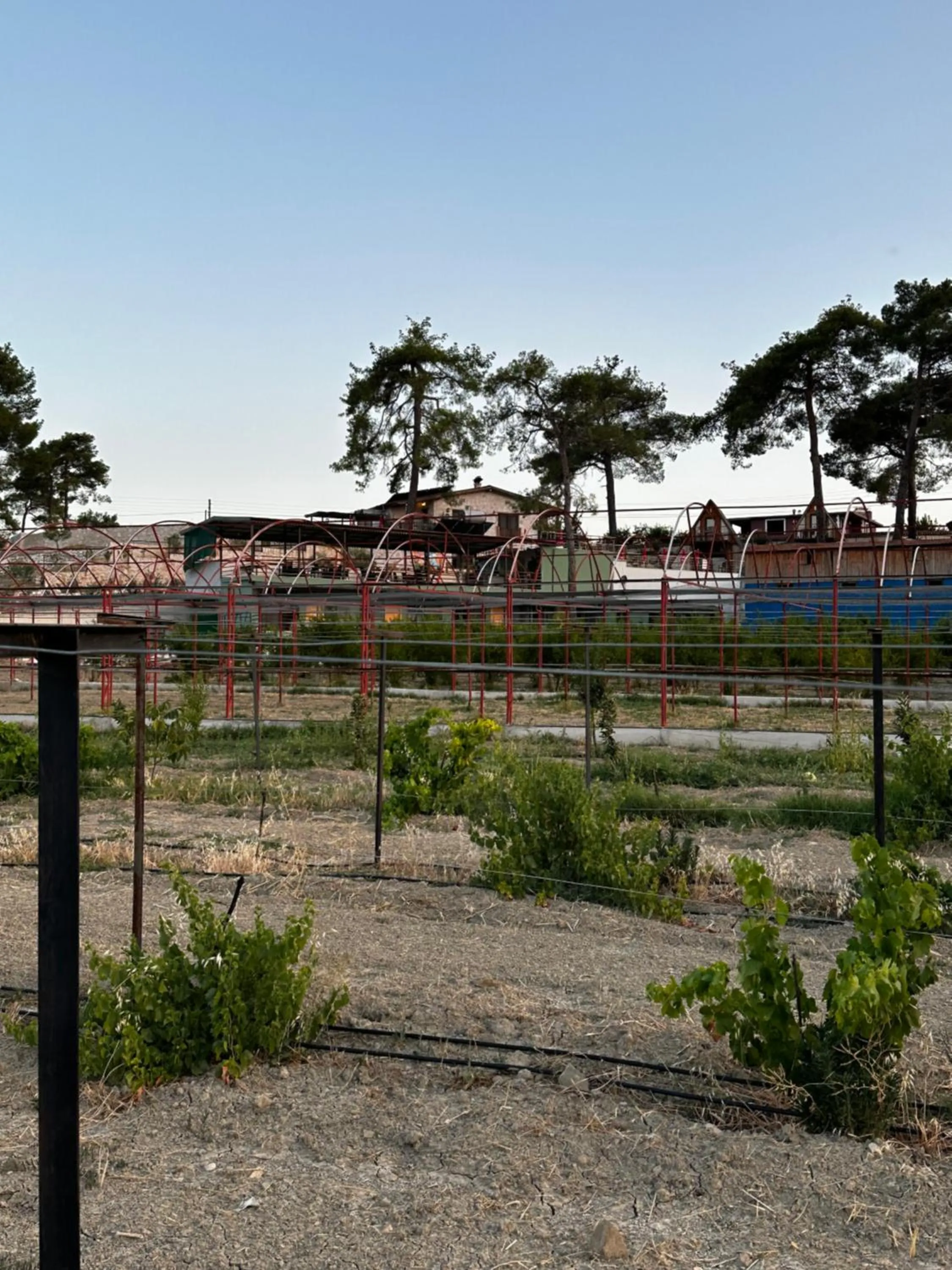 Kandybos Eco Farm Village