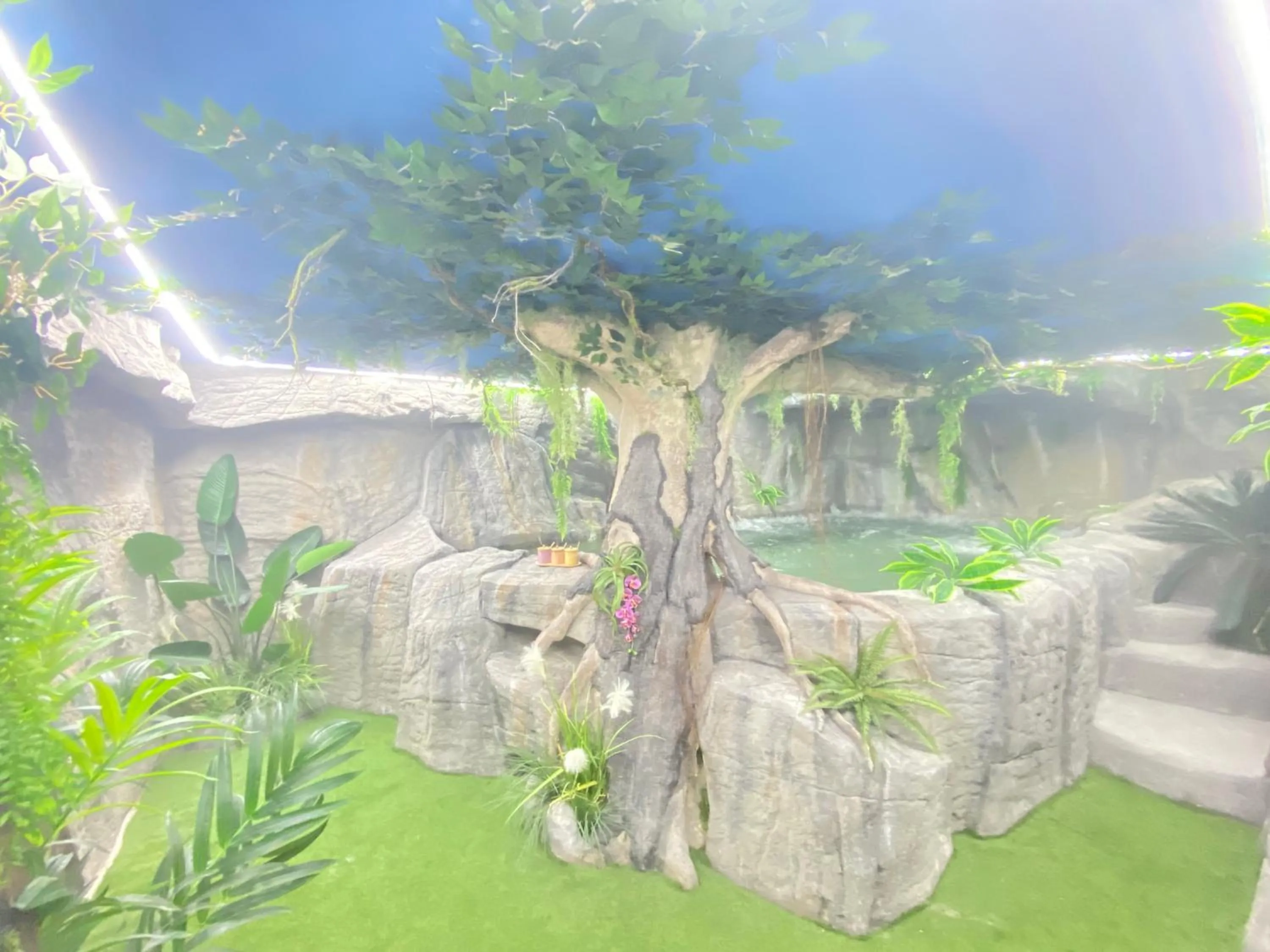 Spa and wellness centre/facilities in Futurotel Spa Garden