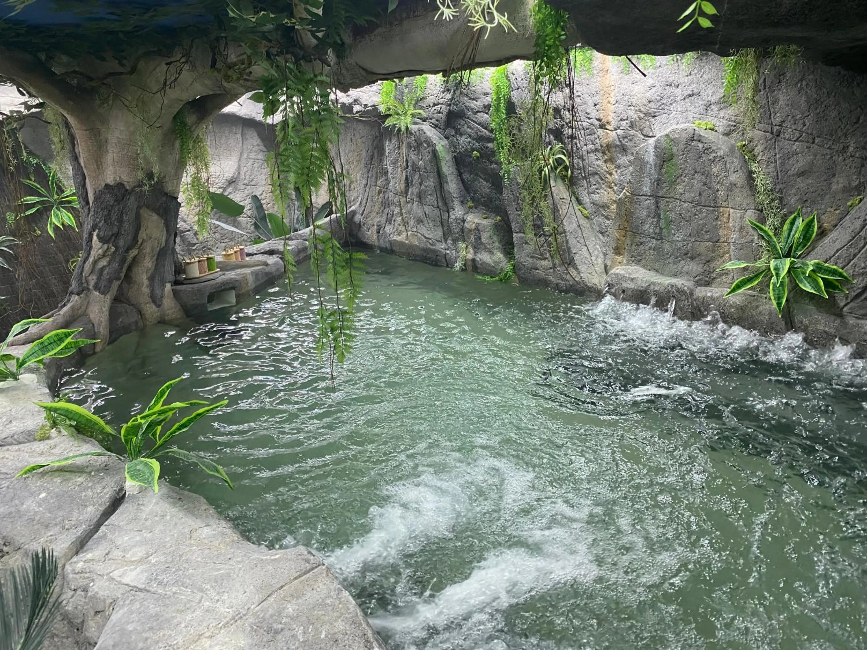 Spa and wellness centre/facilities in Futurotel Spa Garden