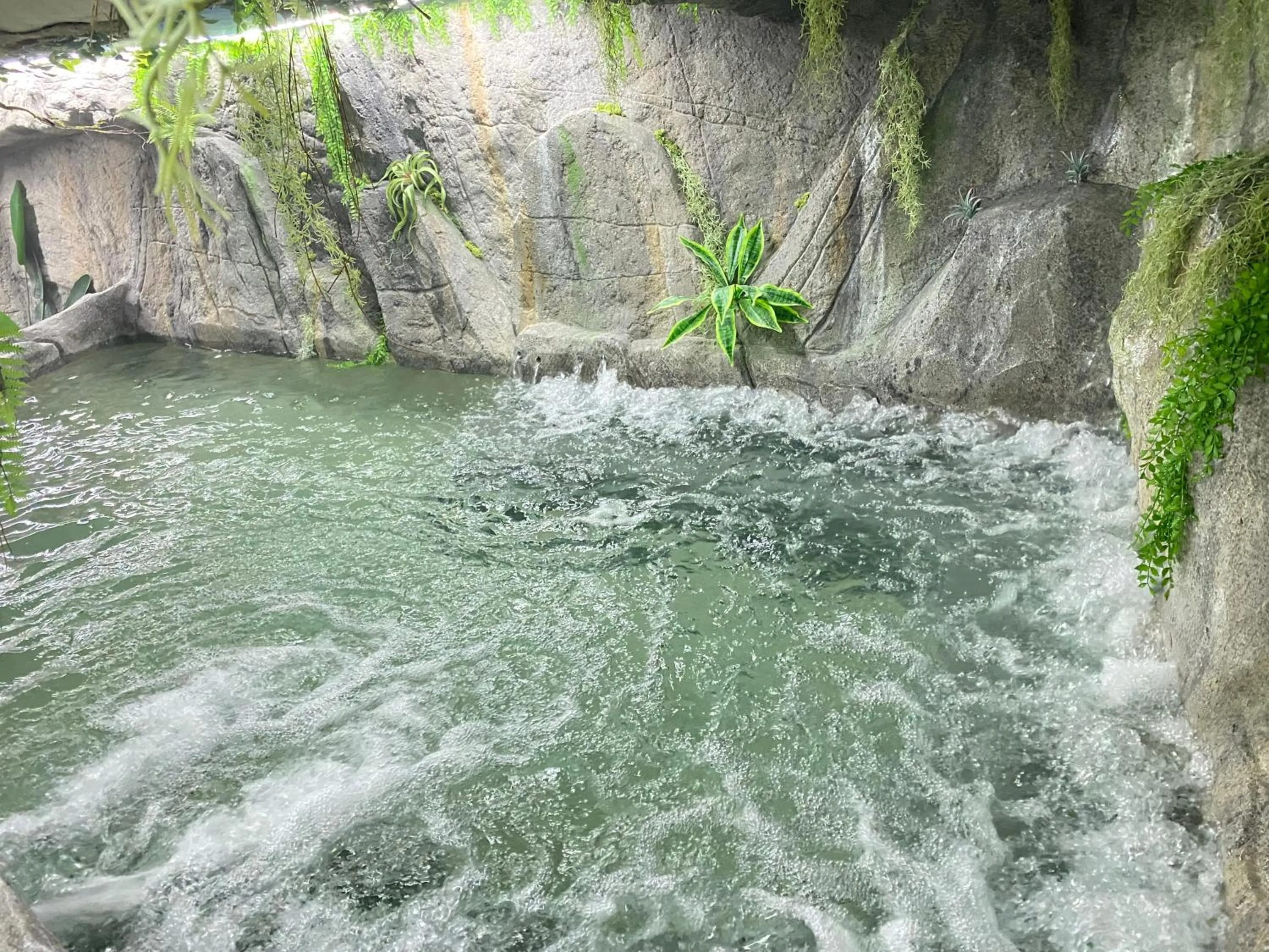 Spa and wellness centre/facilities in Futurotel Spa Garden