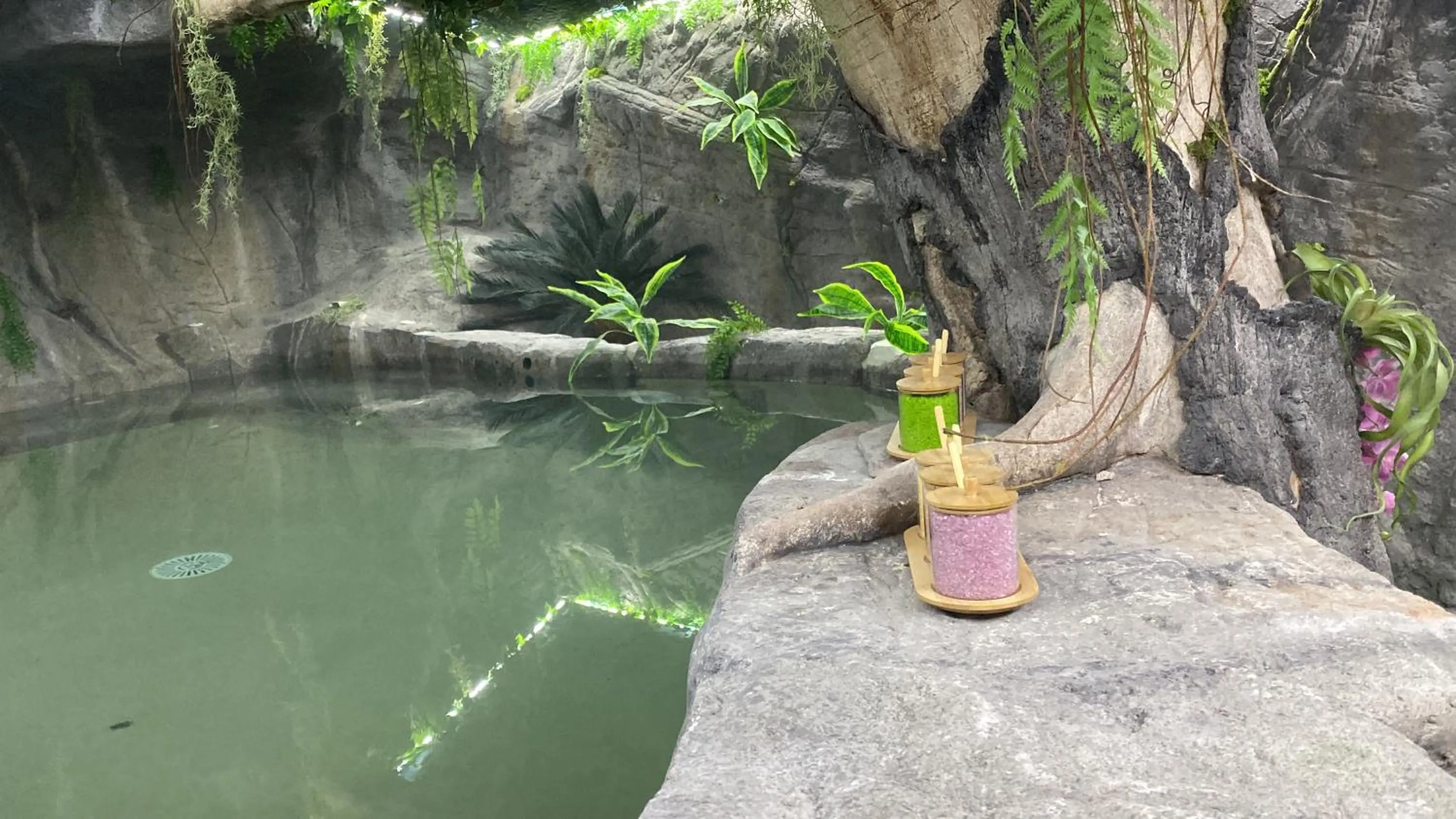 Spa and wellness centre/facilities in Futurotel Spa Garden