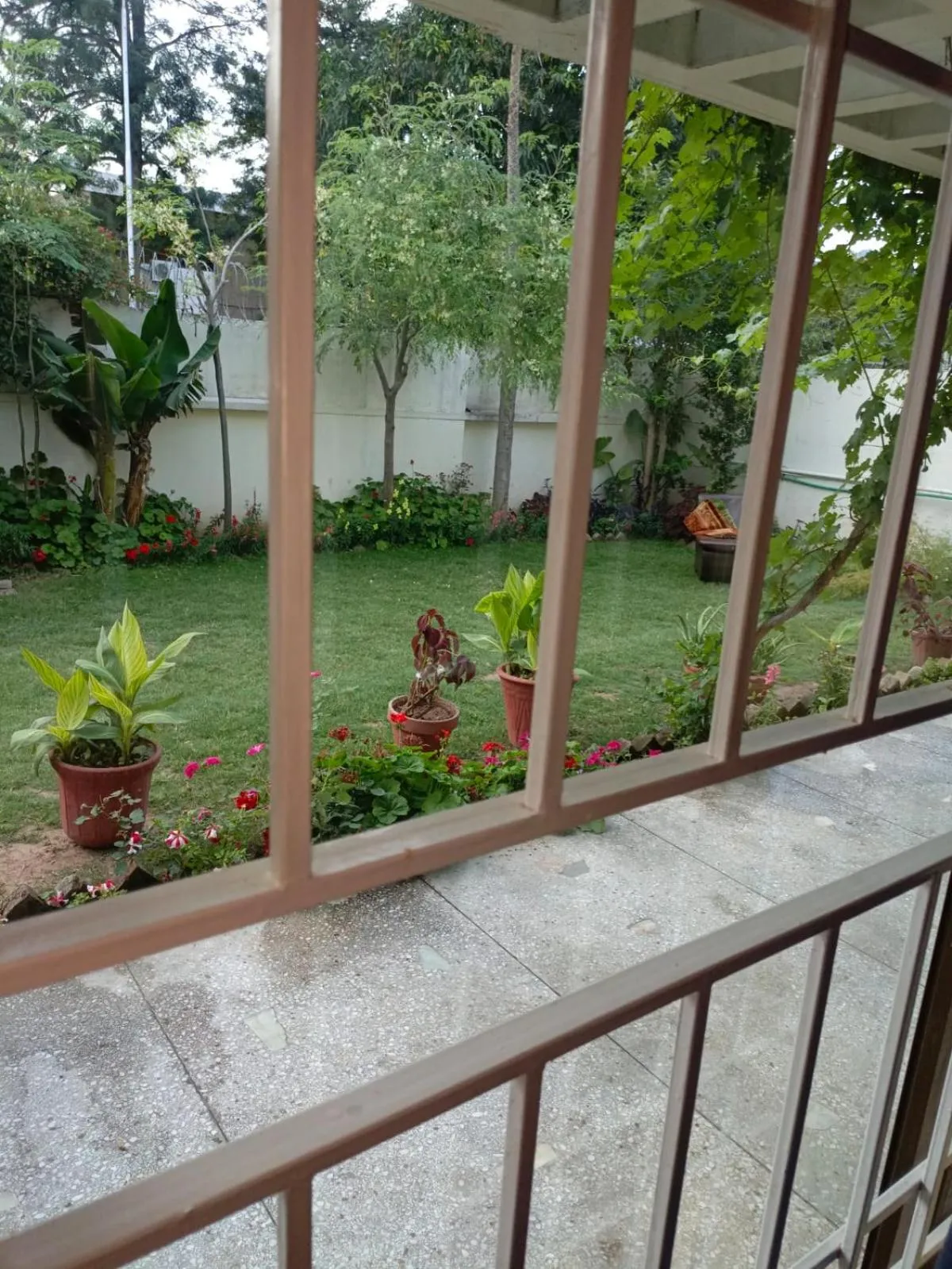 Garden in Luxury Moon Guest House