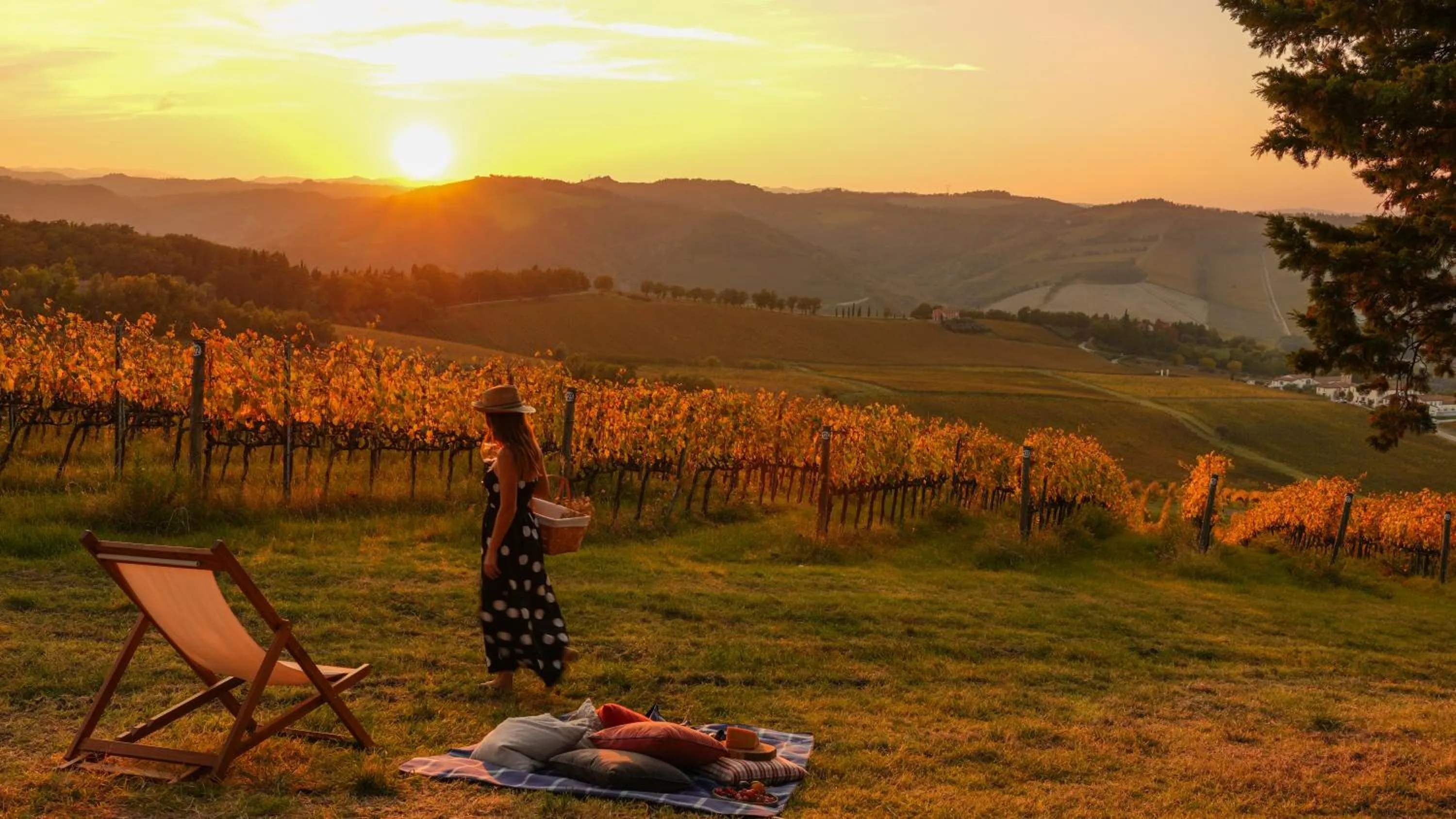 View (from property/room) in Borgo Conde Wine Resort