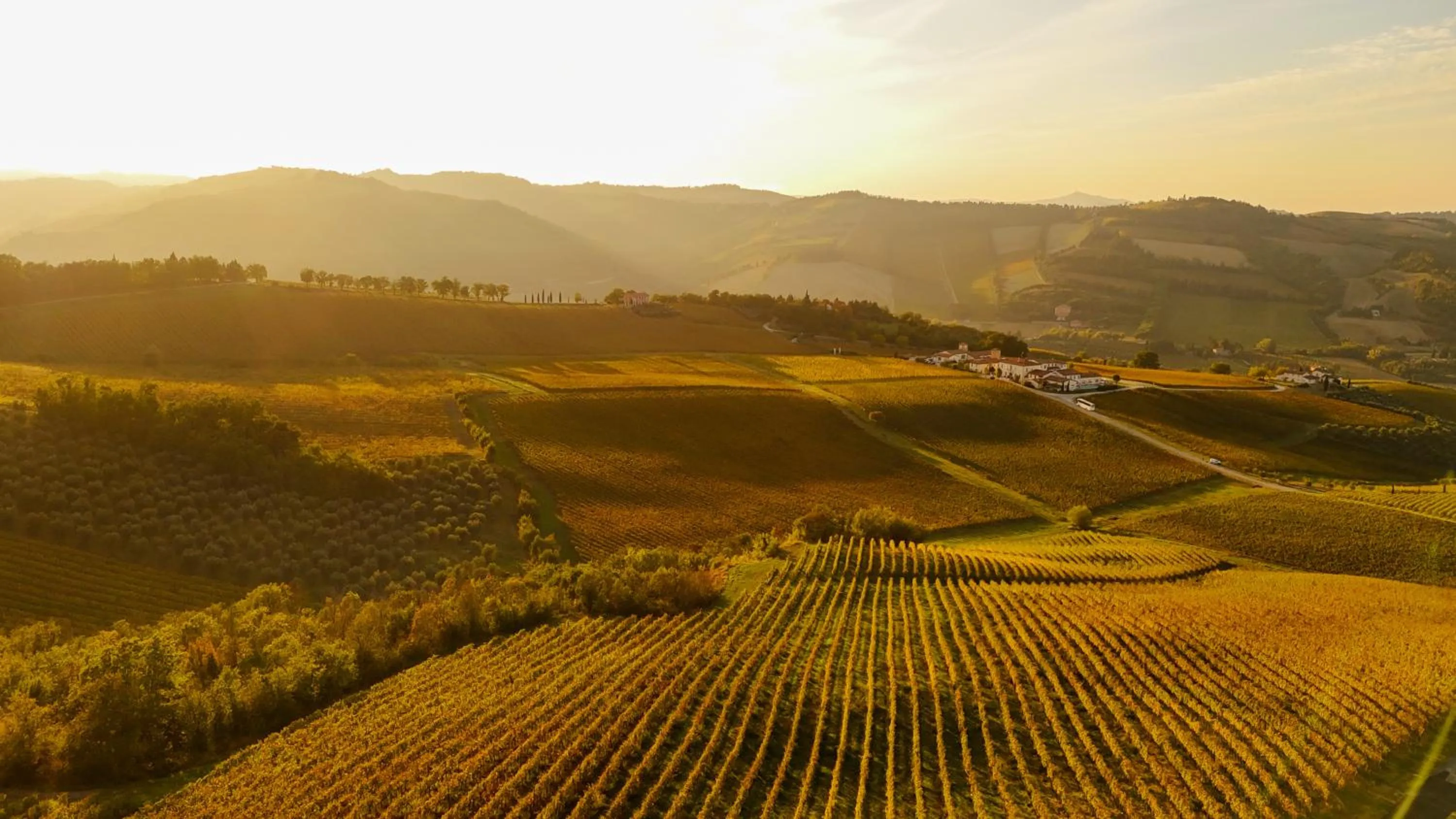 Bird's eye view in Borgo Conde Wine Resort