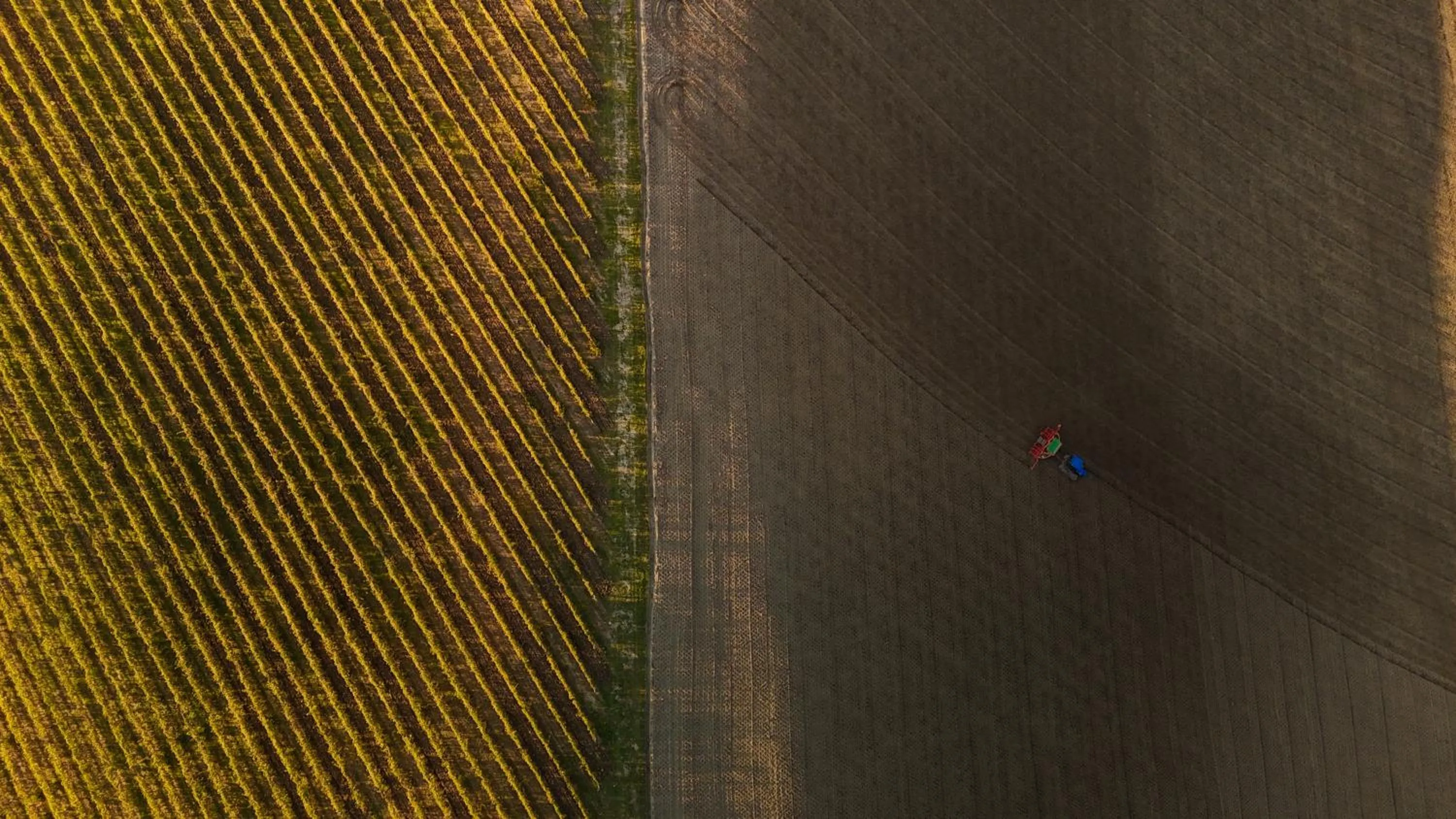 Bird's eye view in Borgo Conde Wine Resort
