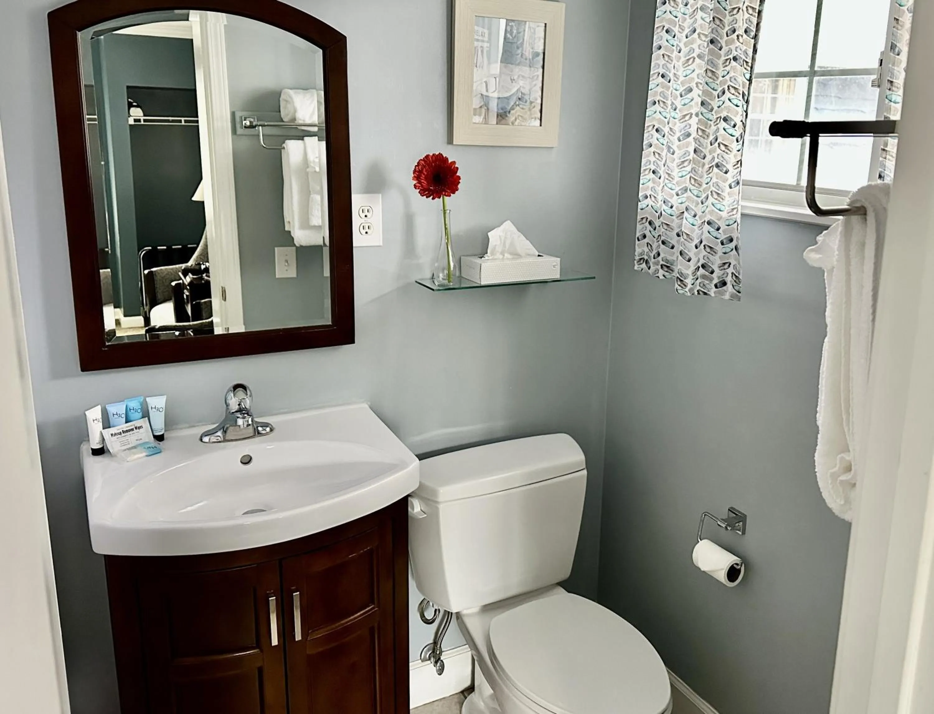 Toilet in Blowing Rock Inn