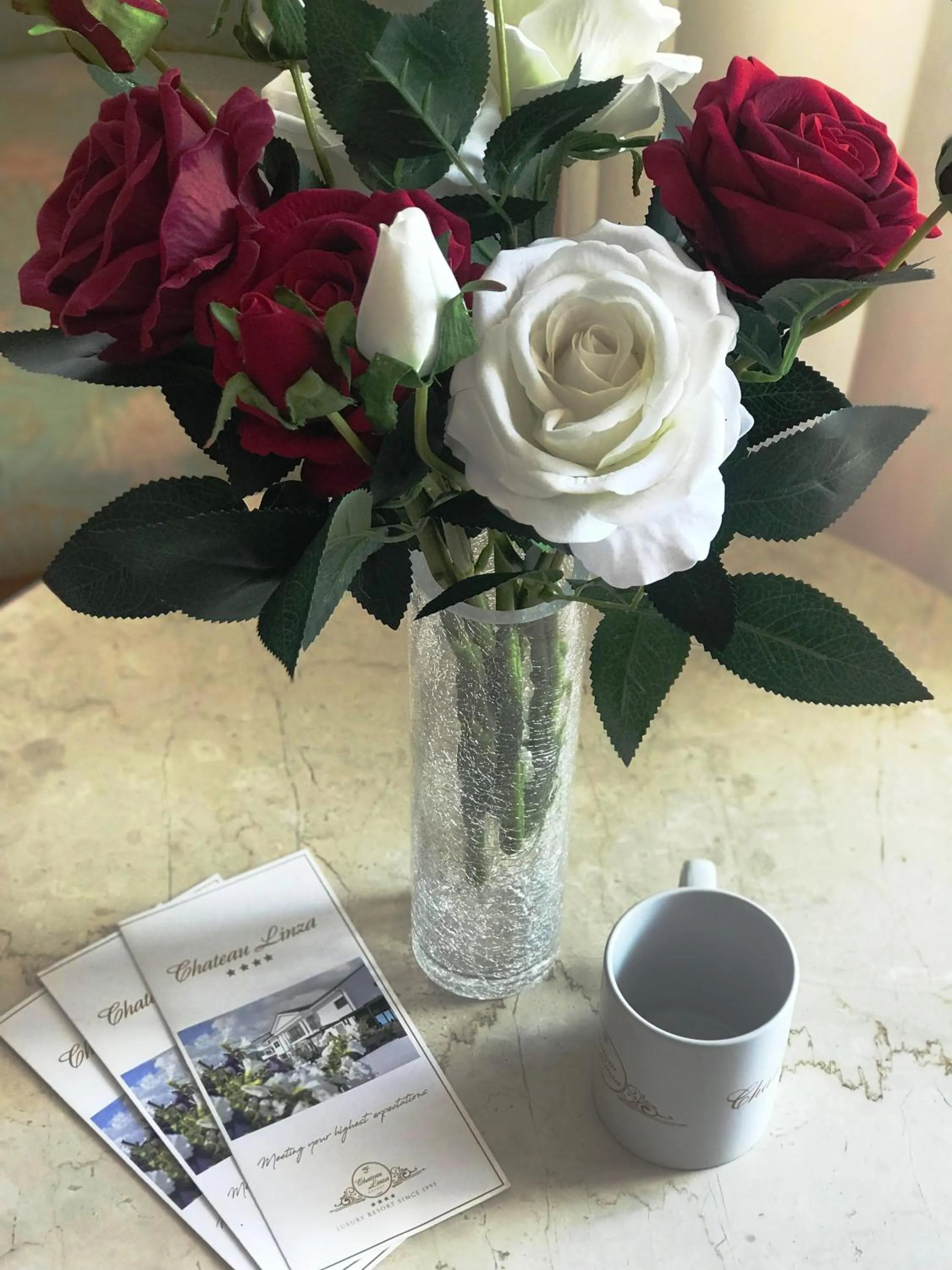 Chateau Linza Resort