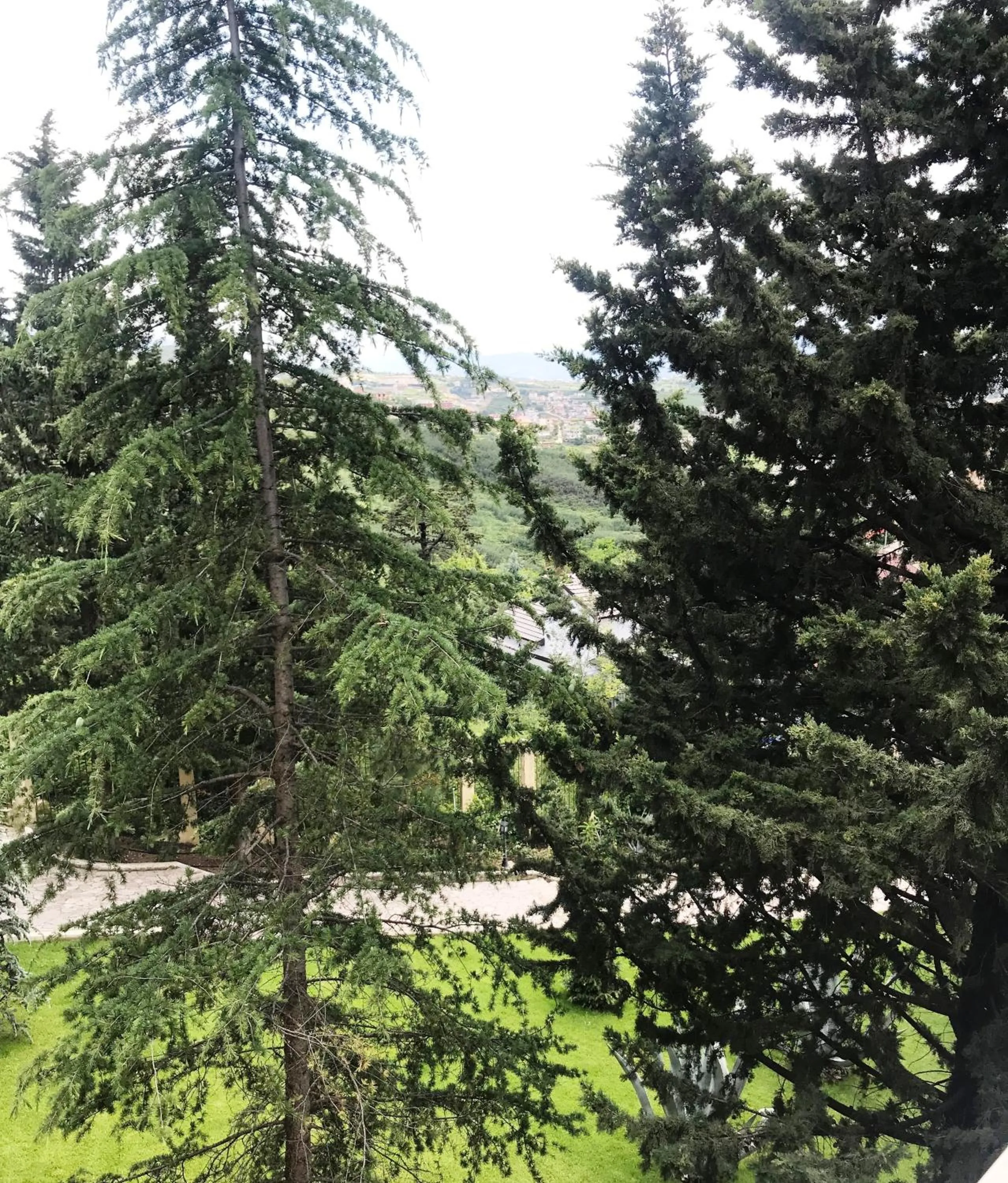 Natural landscape in Chateau Linza Resort