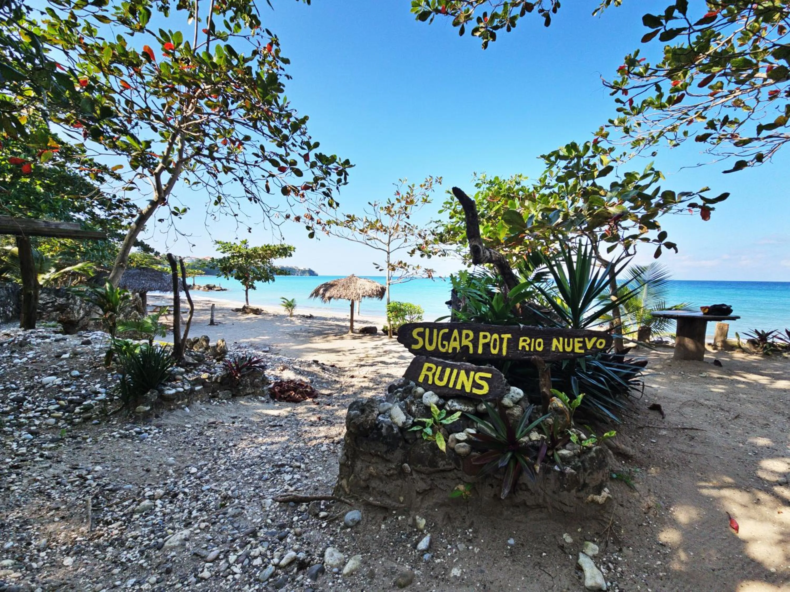 Off site in Chrisanns Paradise Suite by the Ocean - Apt#9