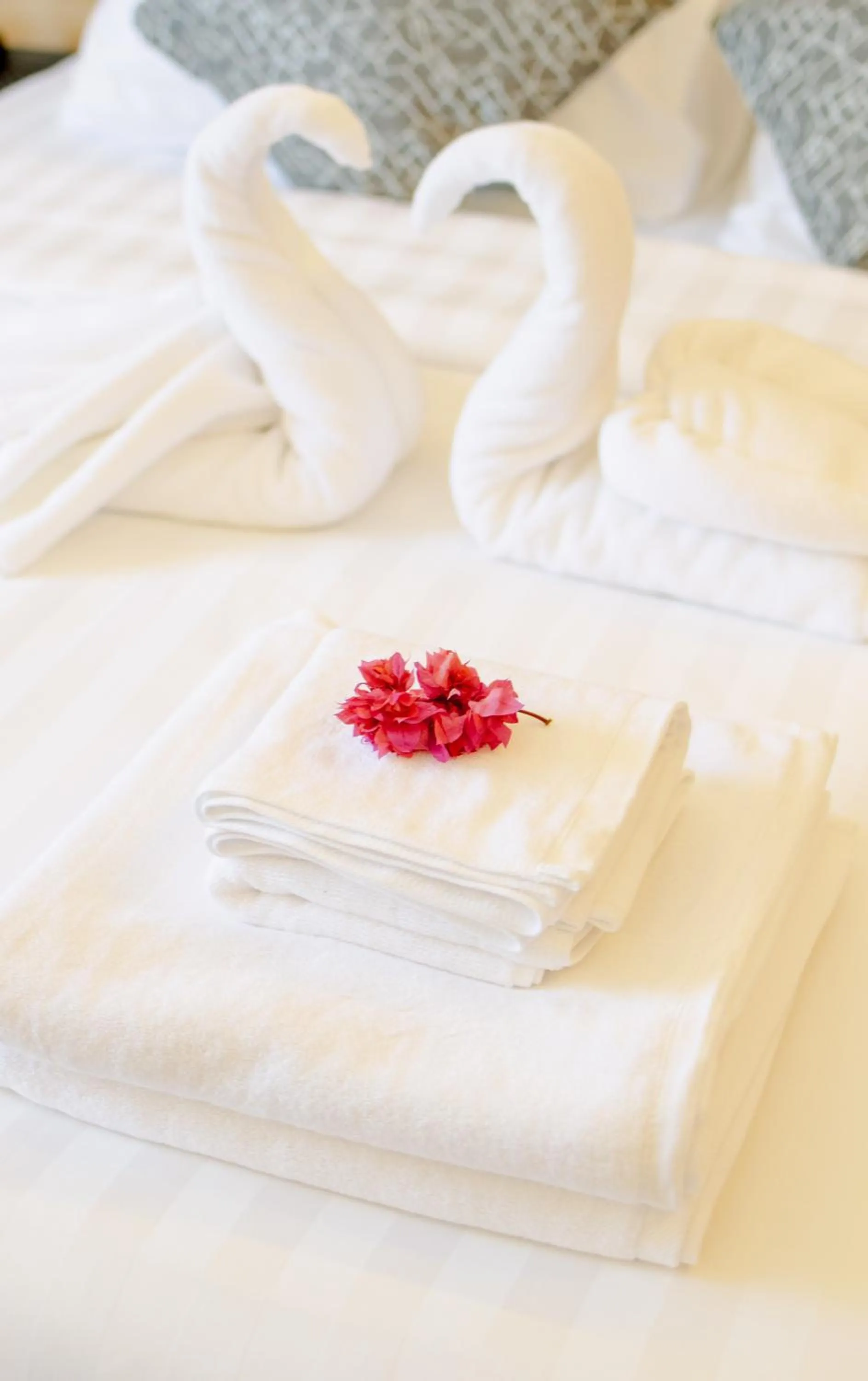 Bed in Chak’z 1964 Beach