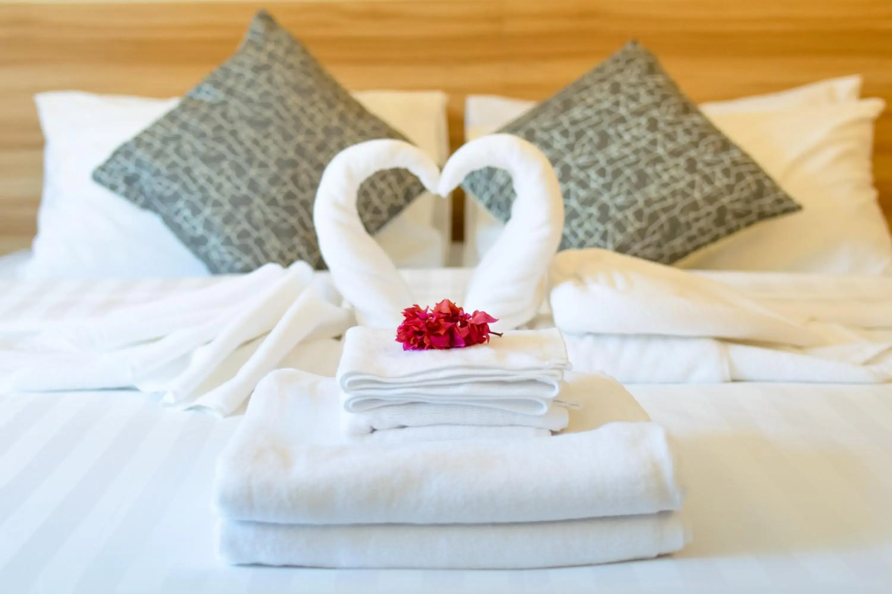 Bed in Chak’z 1964 Beach Bed in Chak’z 1964 Beach