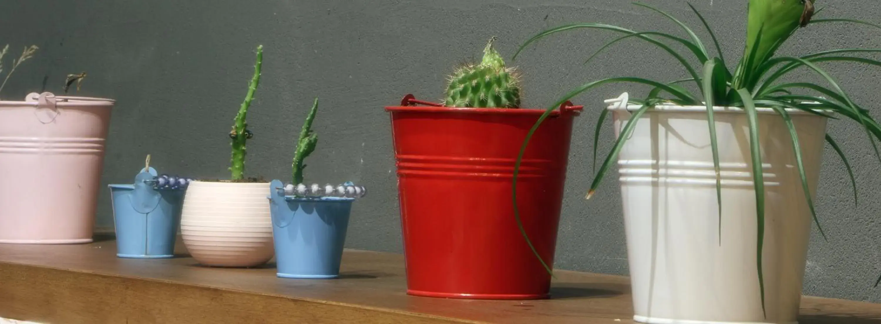 Lobby or reception in Miller Hotel Lobby or reception in Miller Hotel