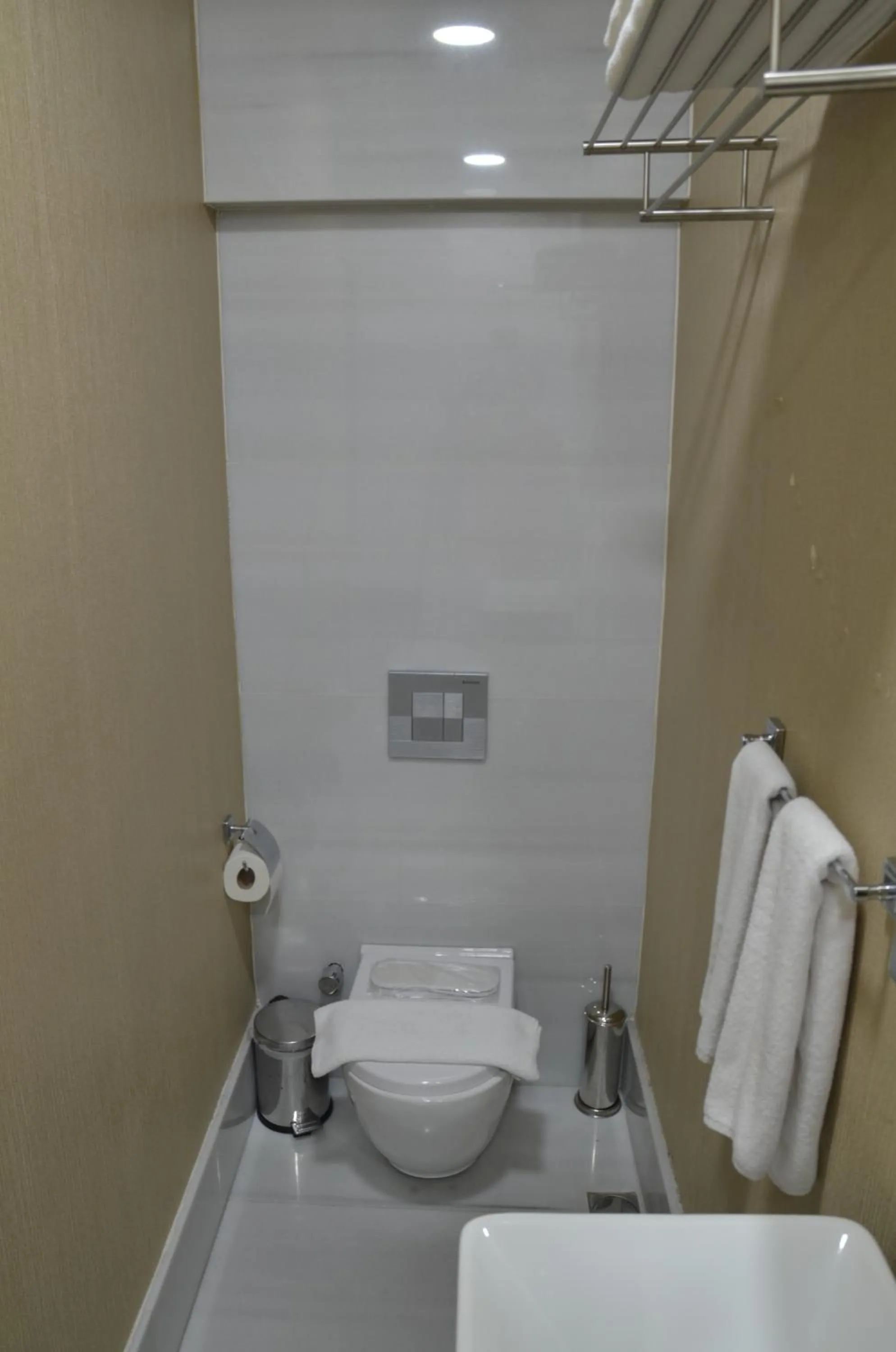 Toilet in Miller Hotel