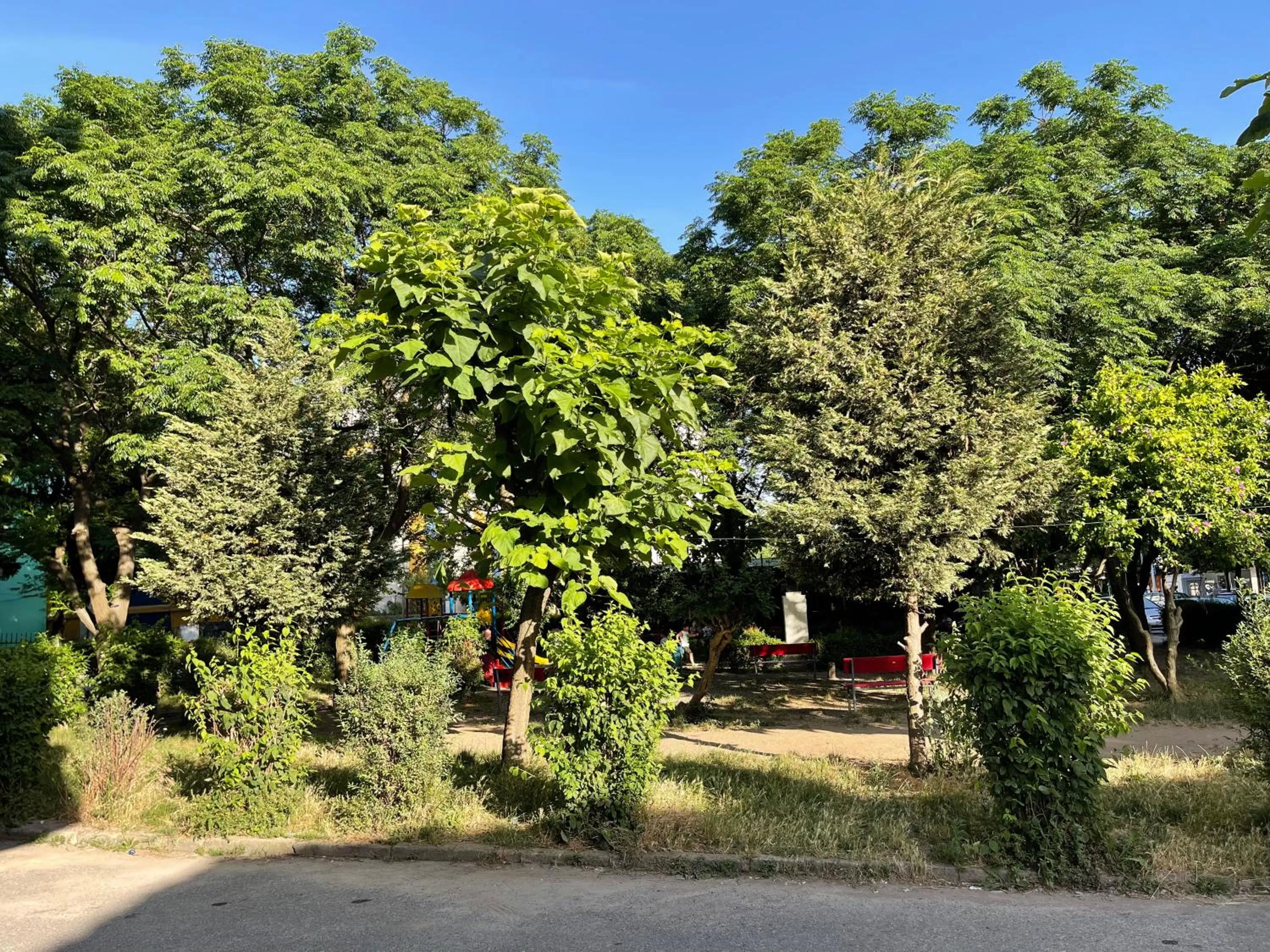 Spring in NÓS Luxury Rooms Shkoder