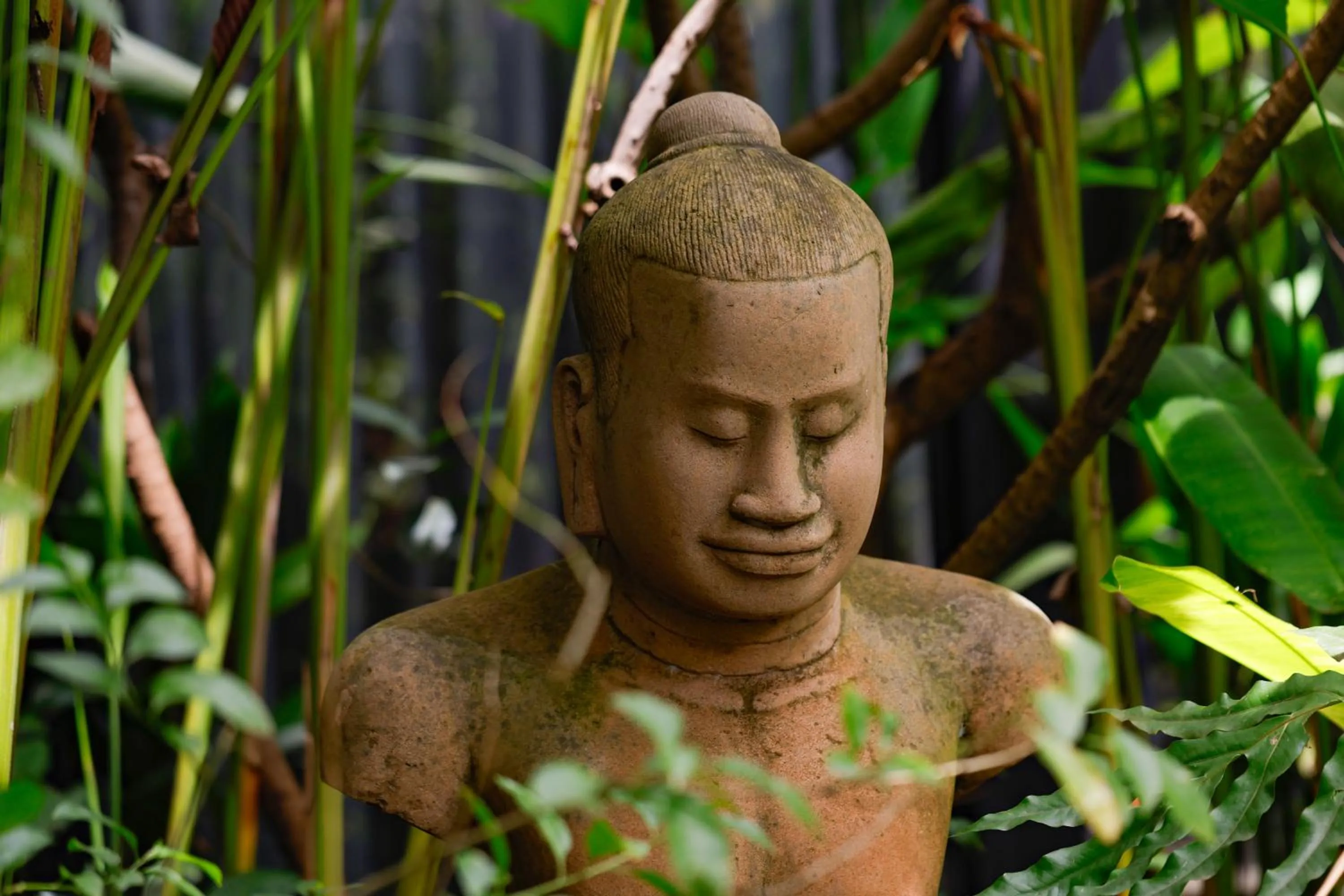 Garden in Lynnaya Urban River Resort