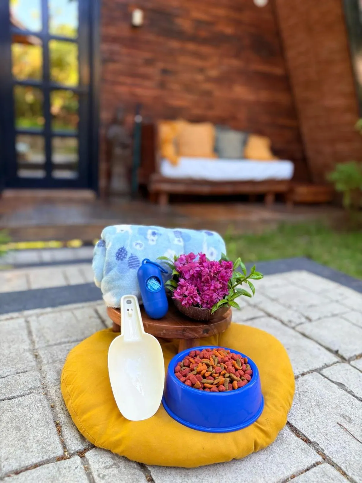 Pets in Nawa Wellness