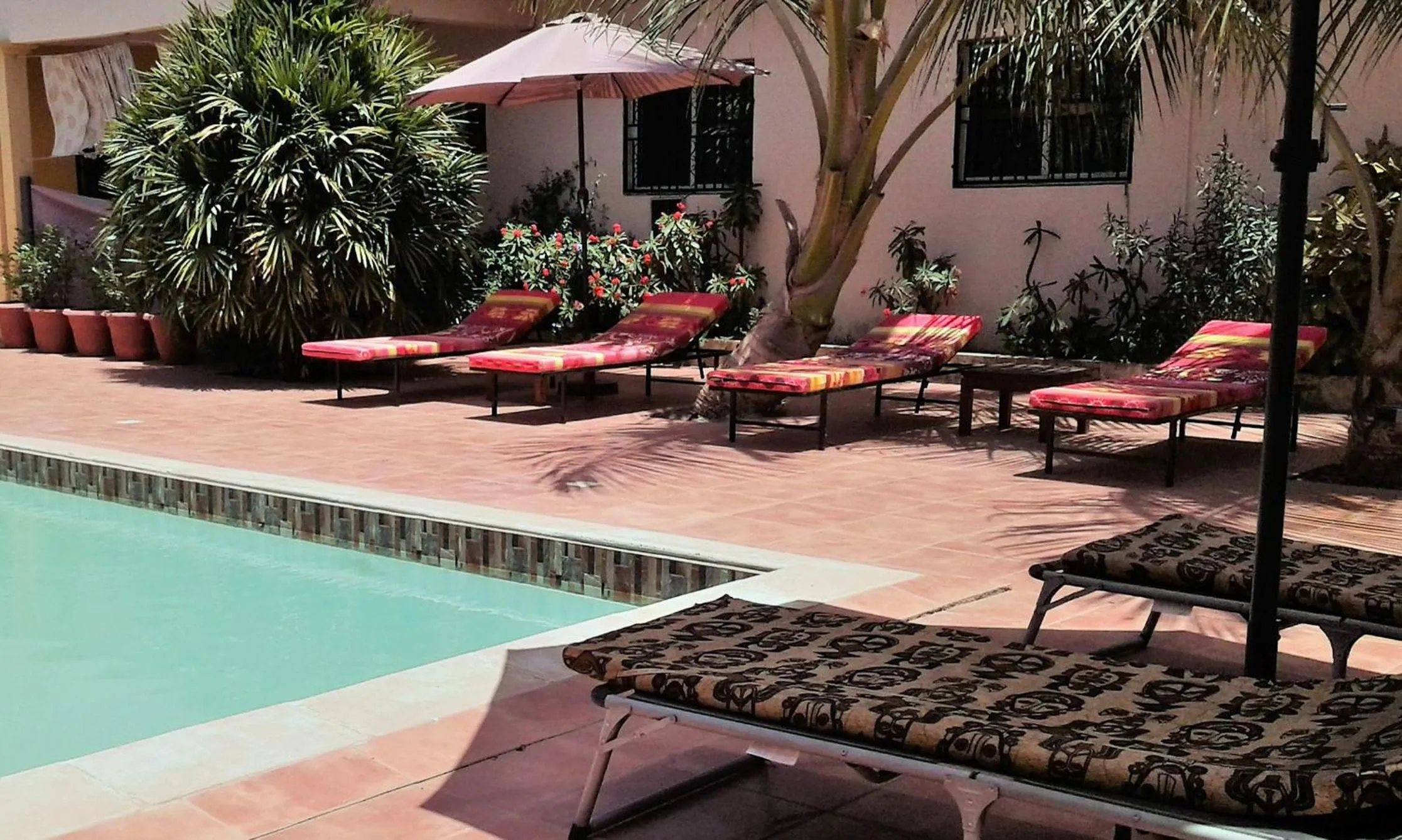 Garden in B & B Villa Calliandra