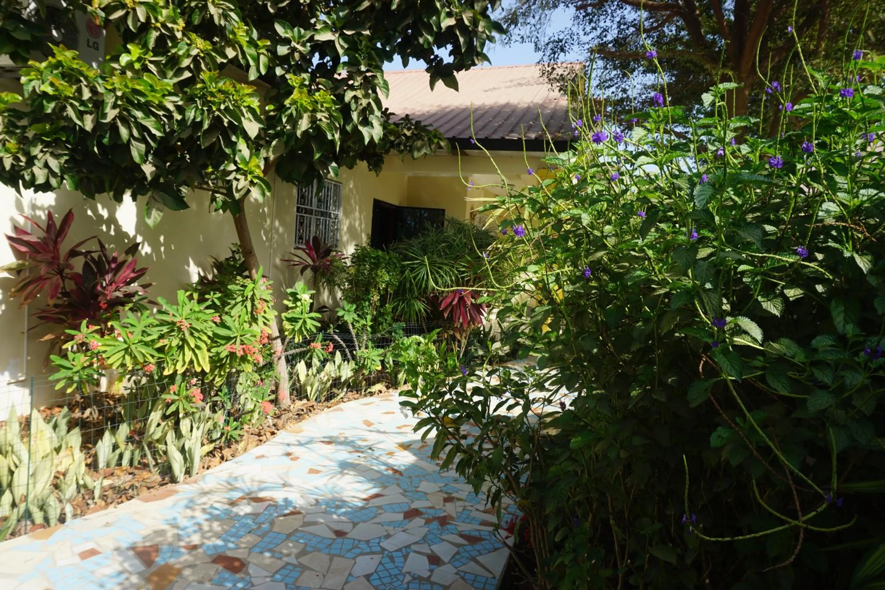 Garden in B & B Villa Calliandra