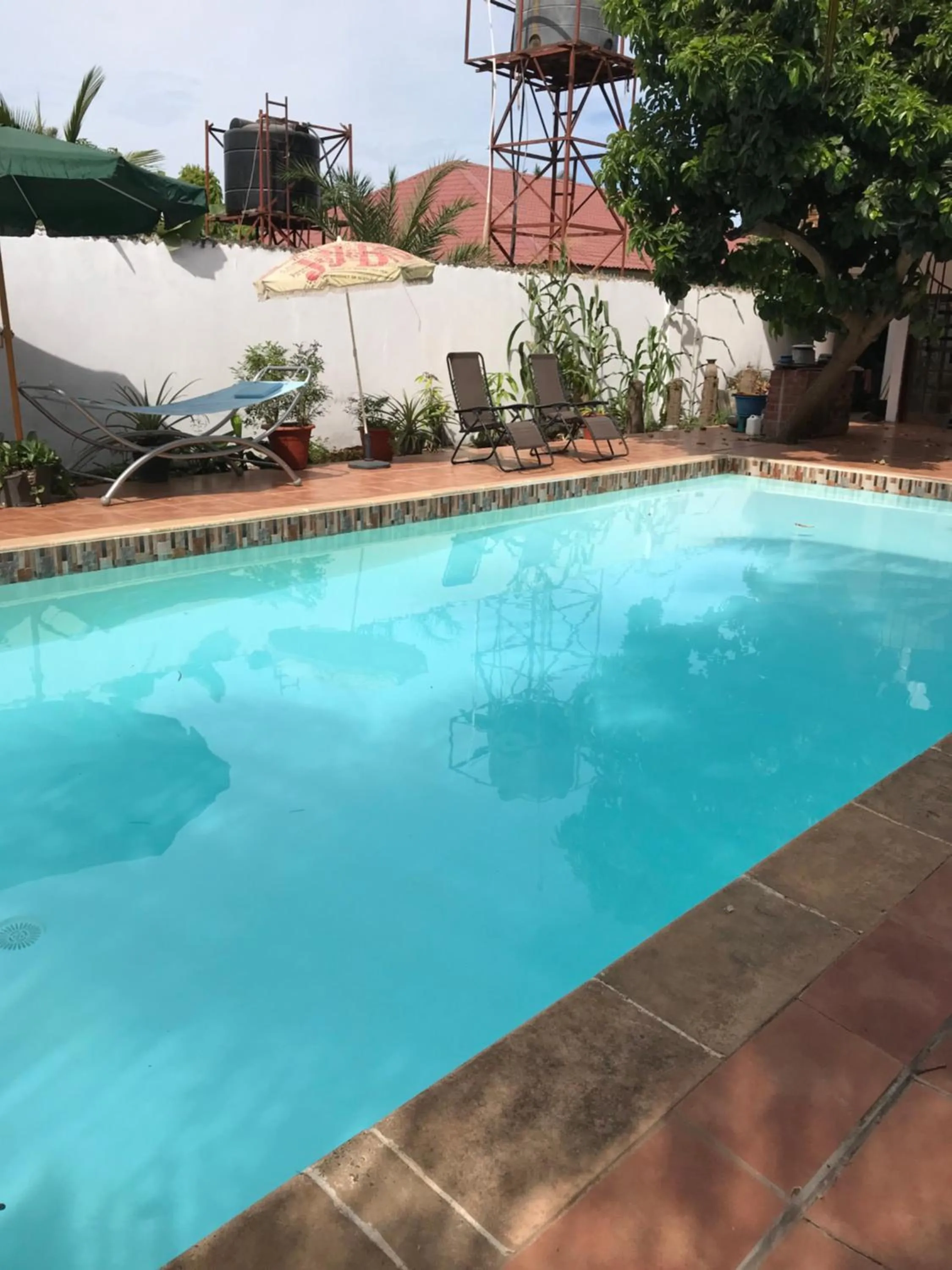 Swimming pool in B & B Villa Calliandra