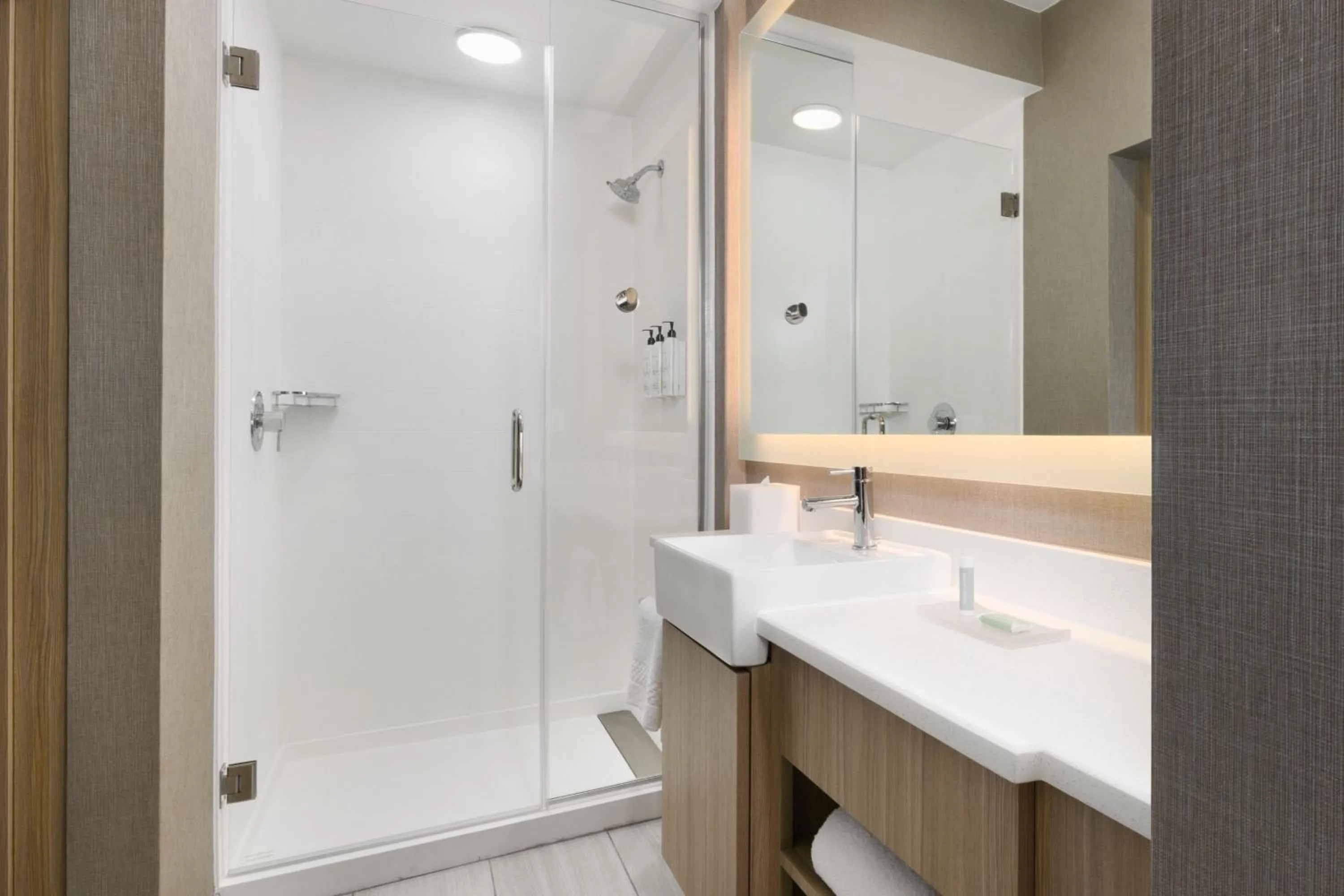 Bathroom in SpringHill Suites by Marriott Dothan