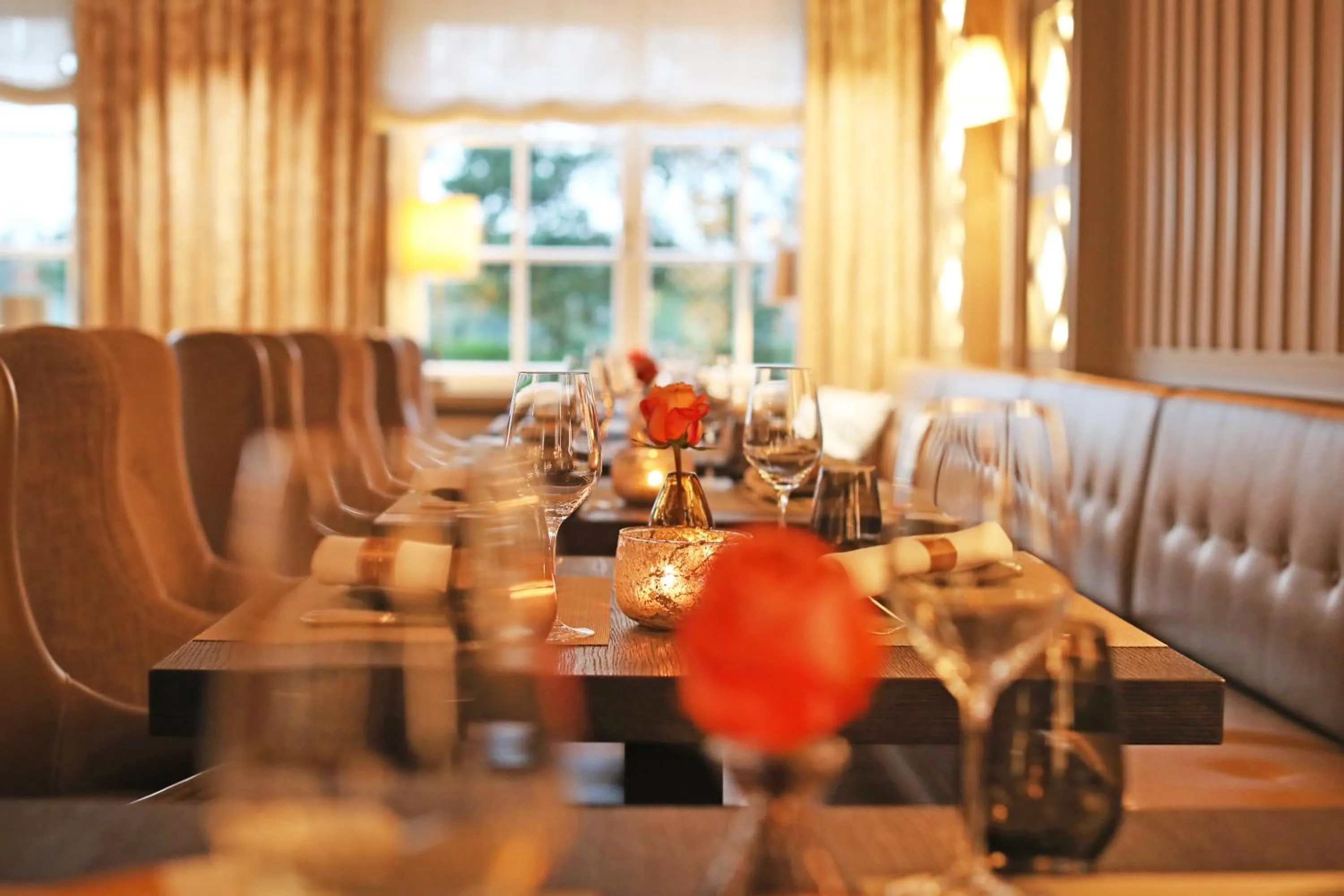 Restaurant/places to eat in Severin's Resort & Spa