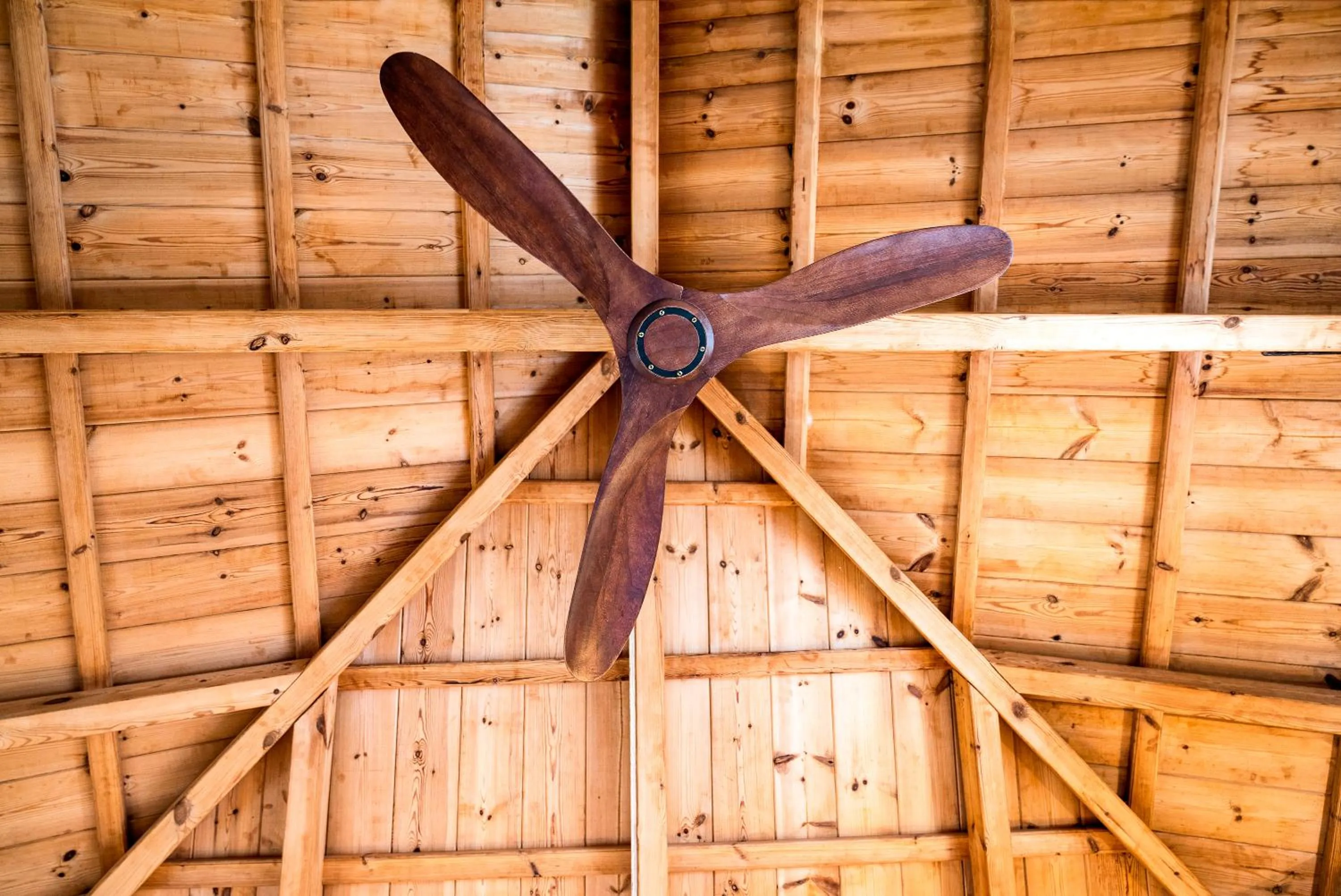 Decorative detail in Maison Muse