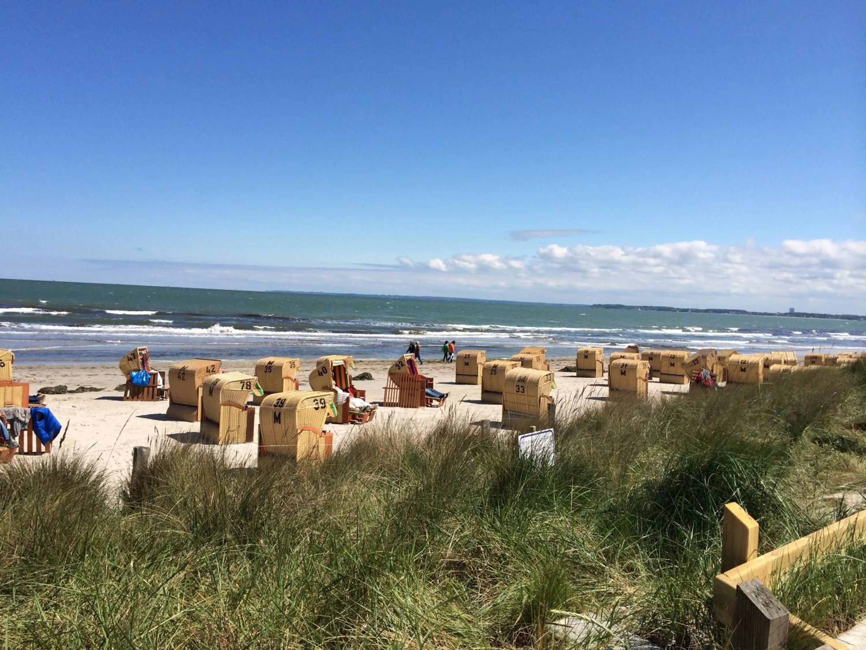 Summer in 3C-Appartements