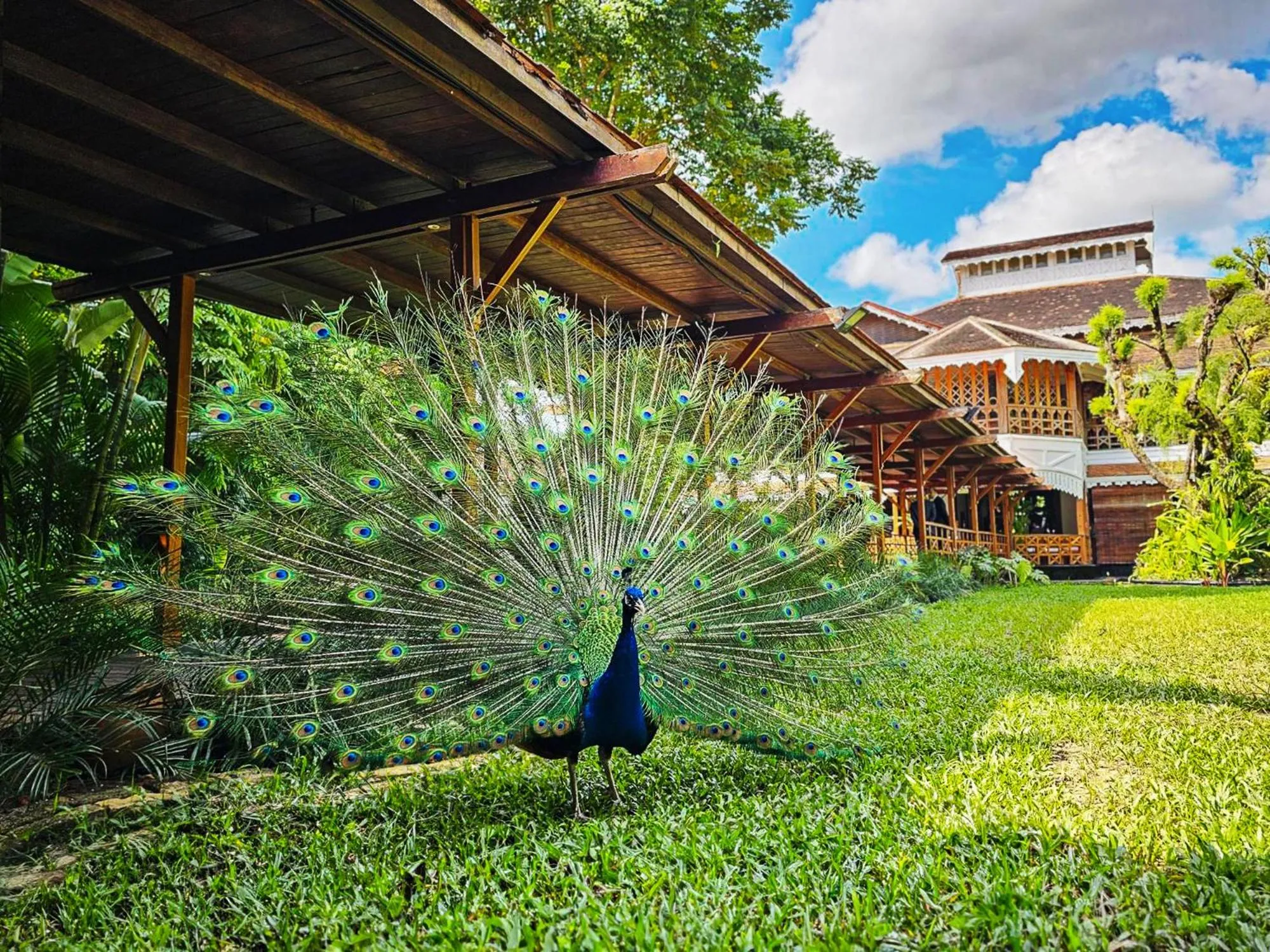Property building in Governor's Residence