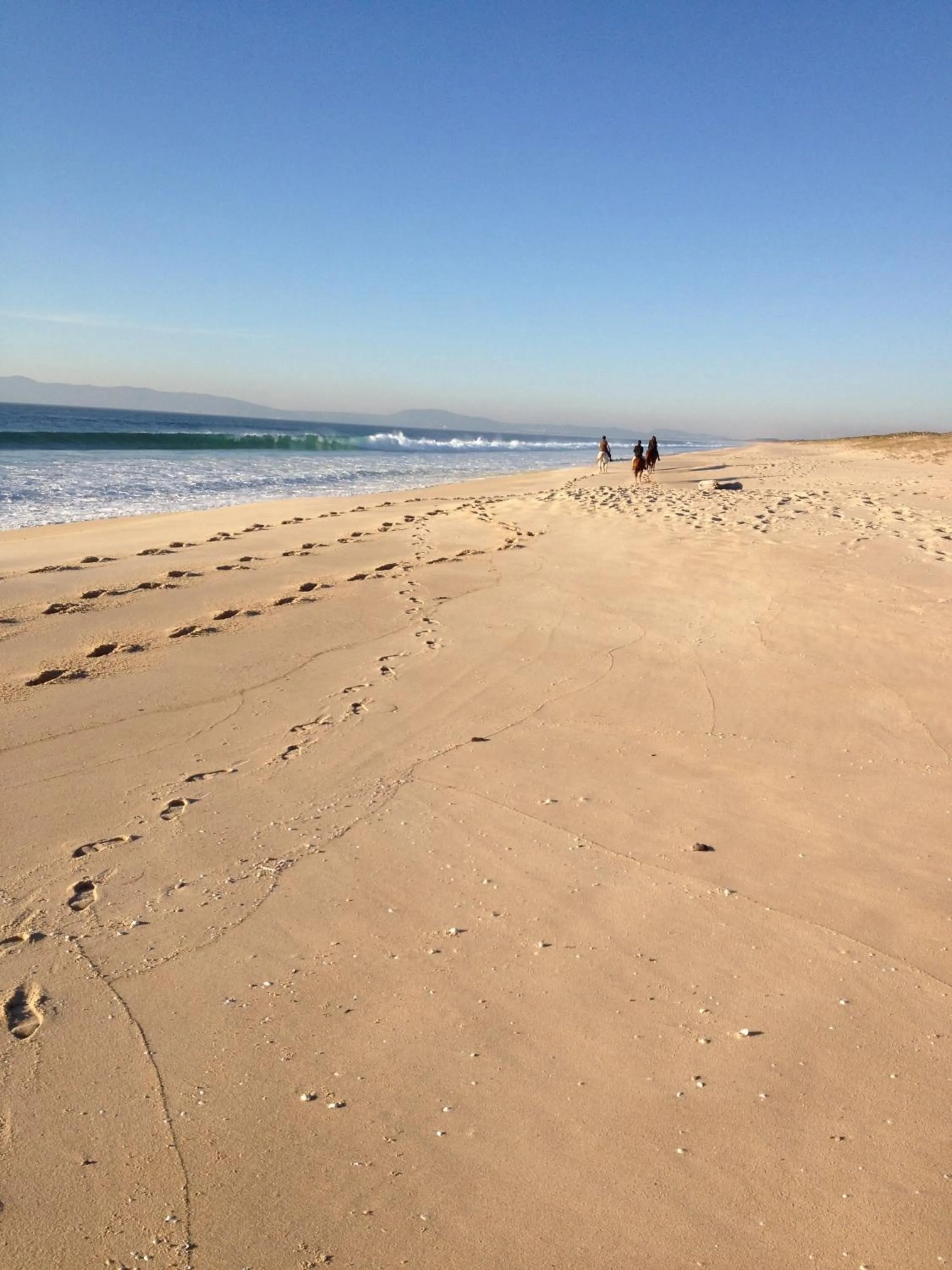 Comporta House