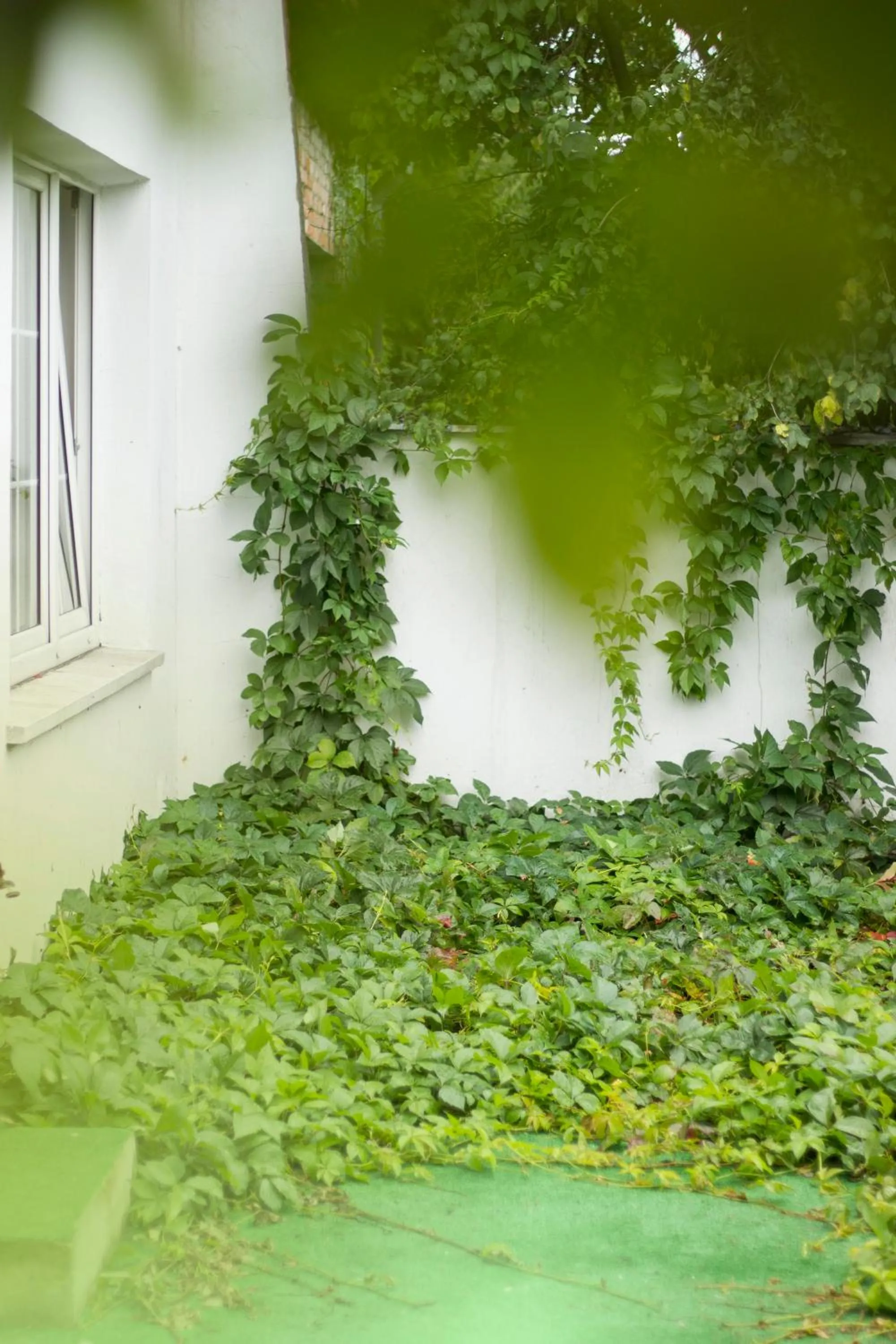 Property building in Magic Garden Hostel