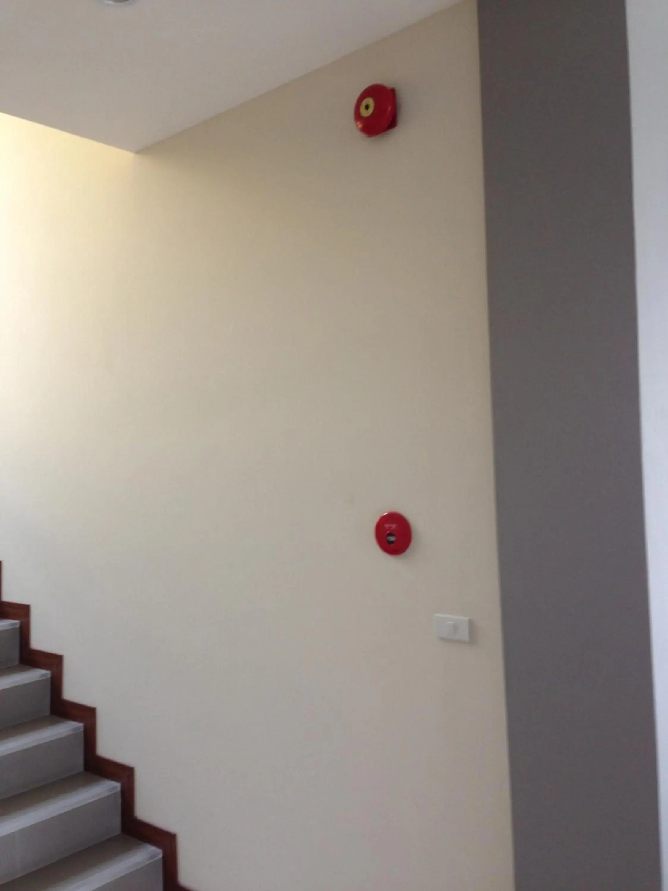 Area and facilities in Bird Day Boutique Hotel Area and facilities in Bird Day Boutique Hotel