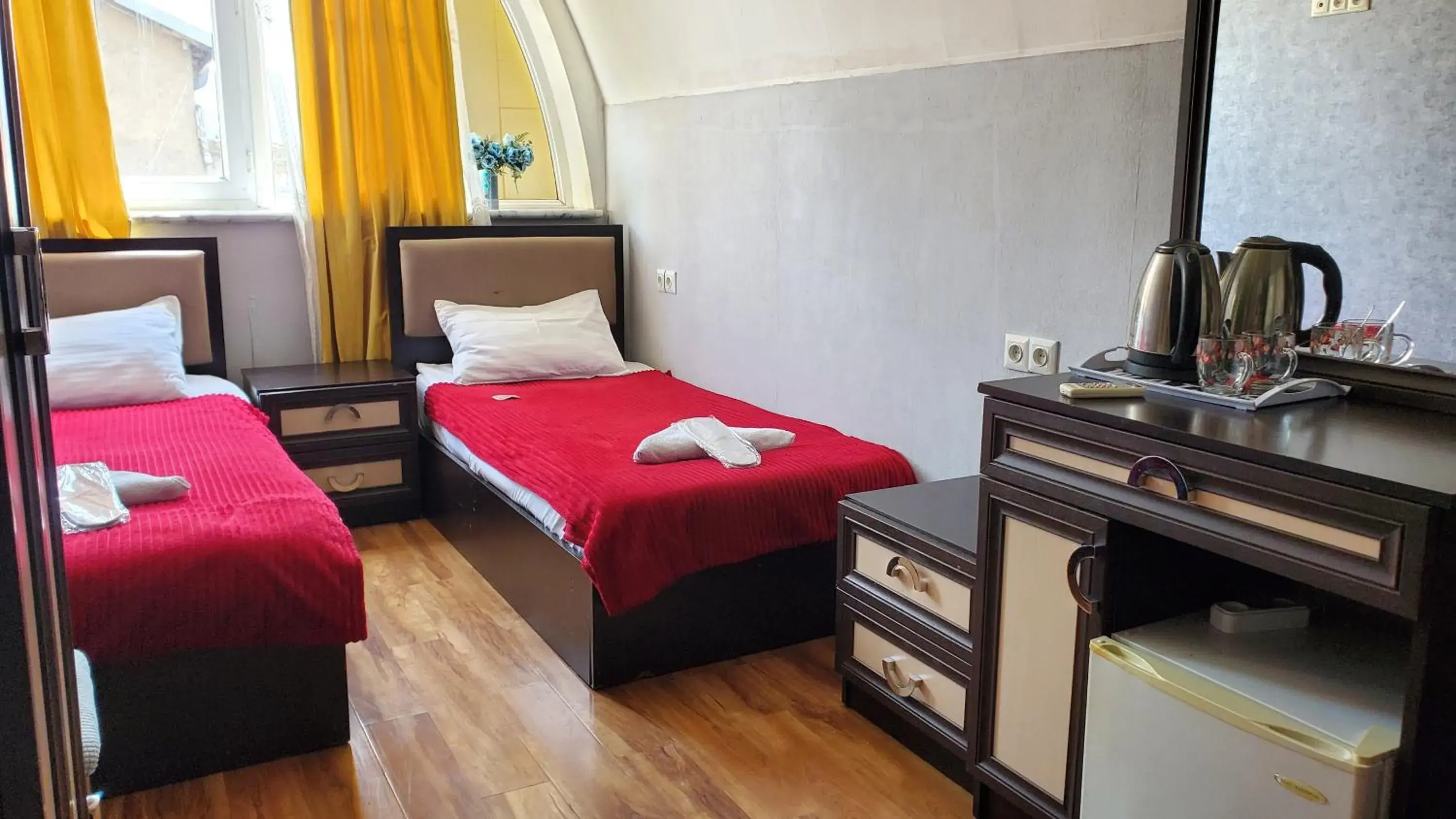 Twin Room in Hotel Antalia Twin Room in Hotel Antalia