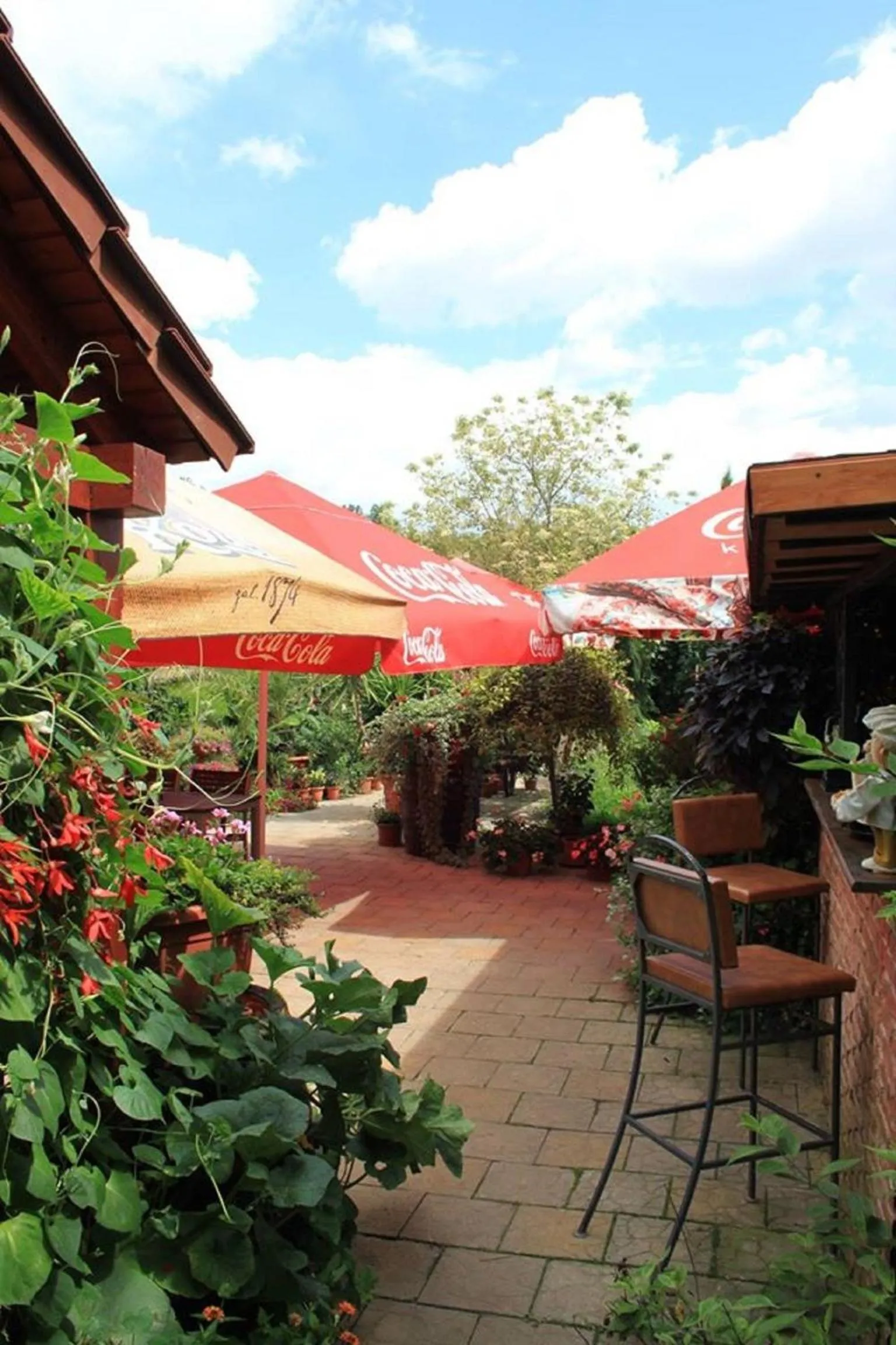 Restaurant/places to eat in Motel Orgován
