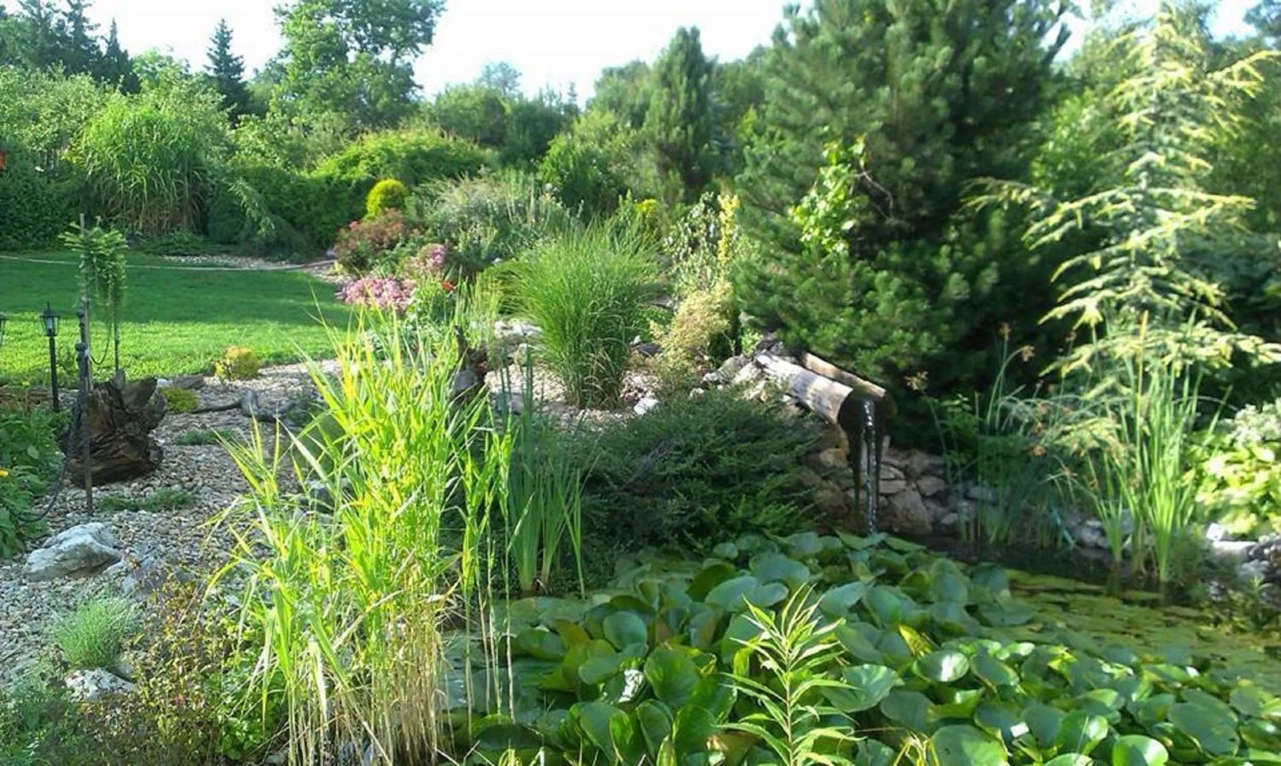 Garden in Motel Orgován