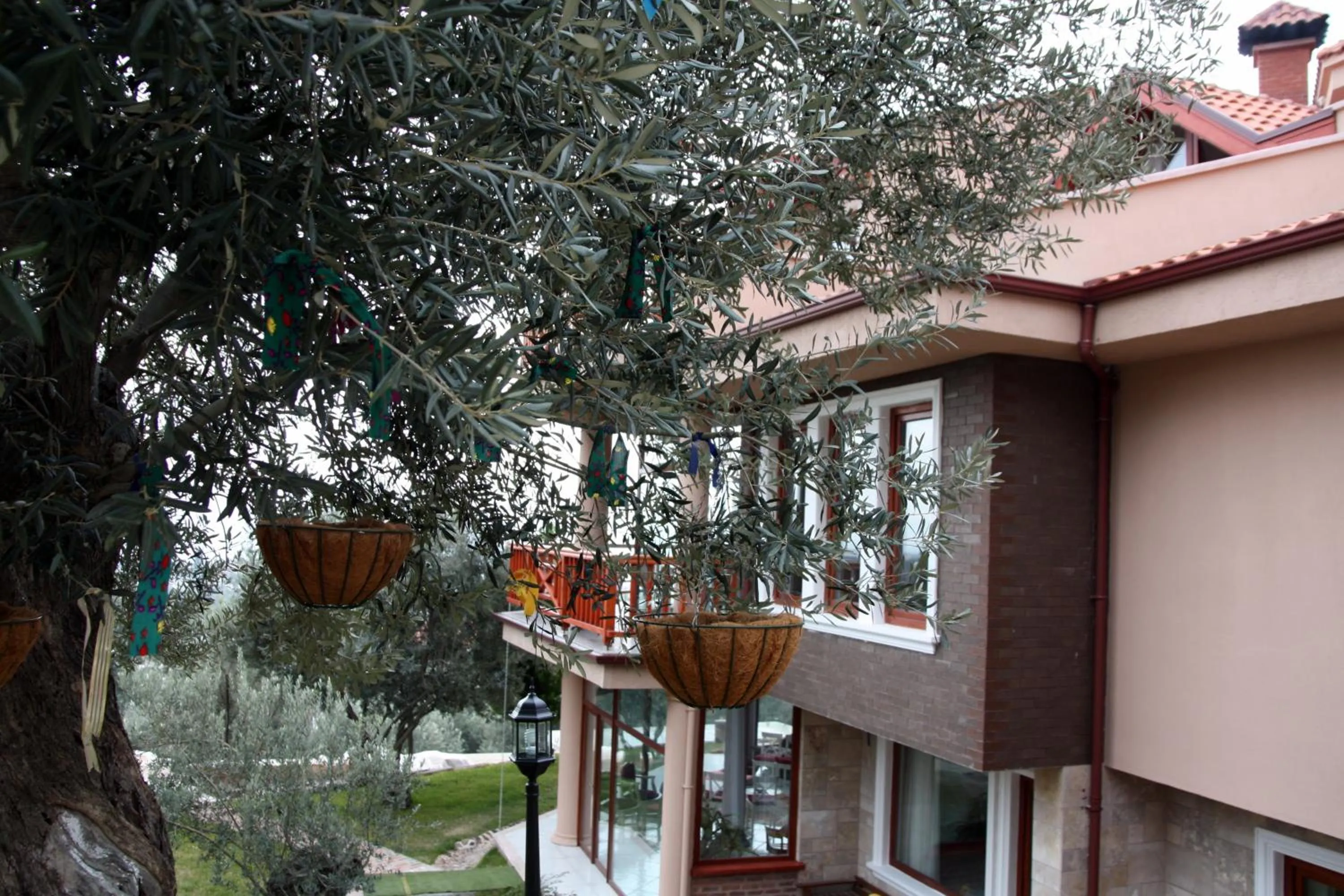 Garden in Aeneas Hotel