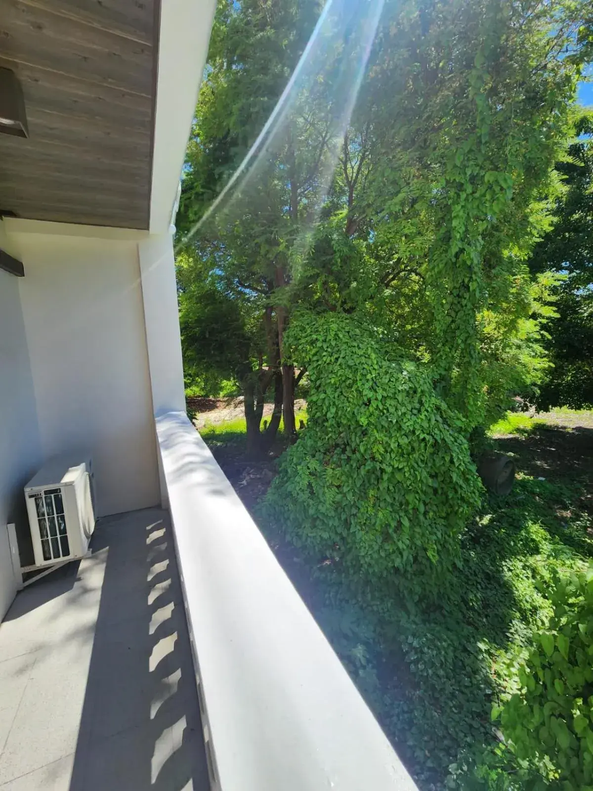 One-Bedroom Apartment in 2F Vivere Condo - Govantes Properties One-Bedroom Apartment in 2F Vivere Condo - Govantes Properties