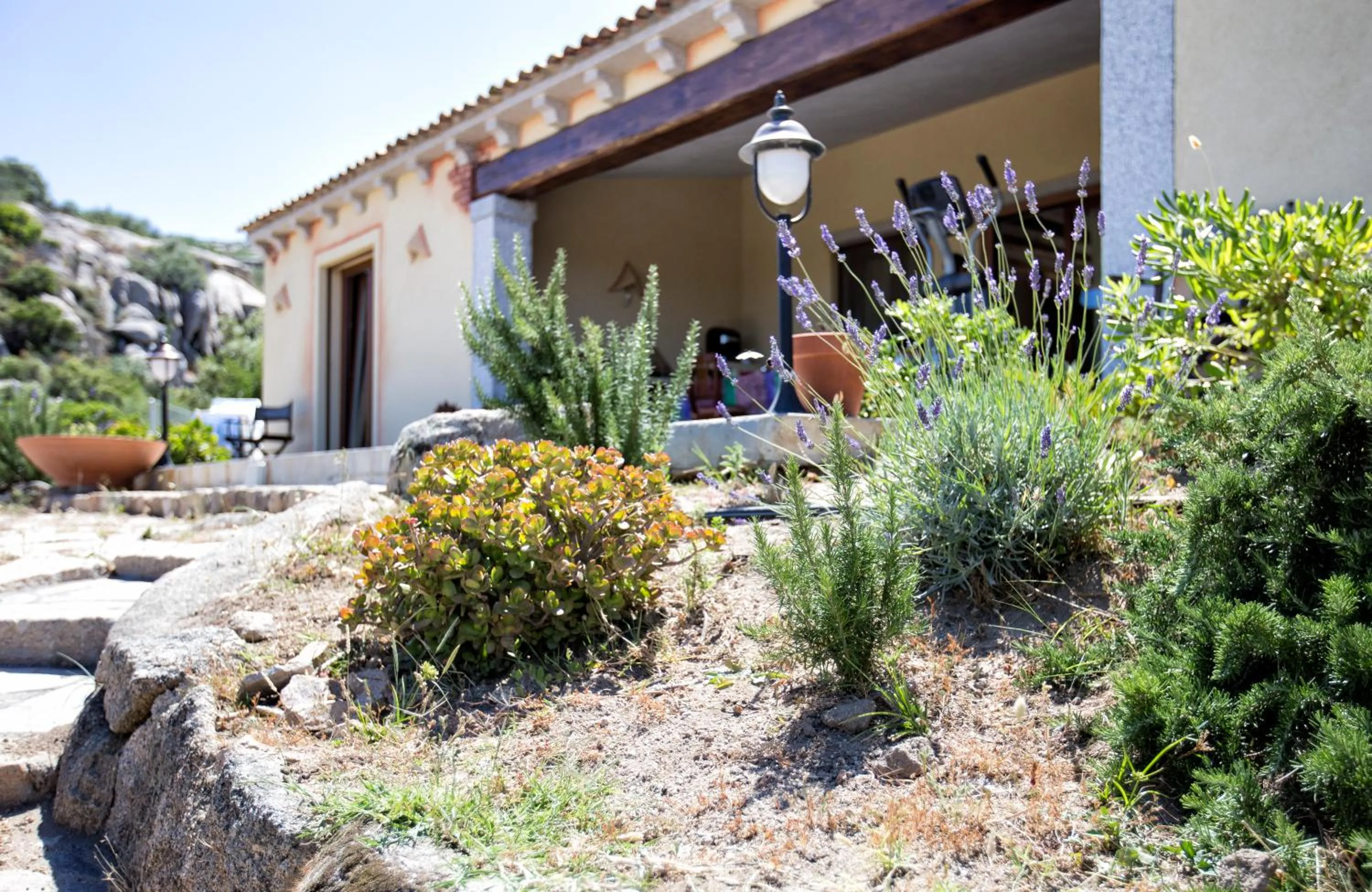 Property building in Casa La Liccia