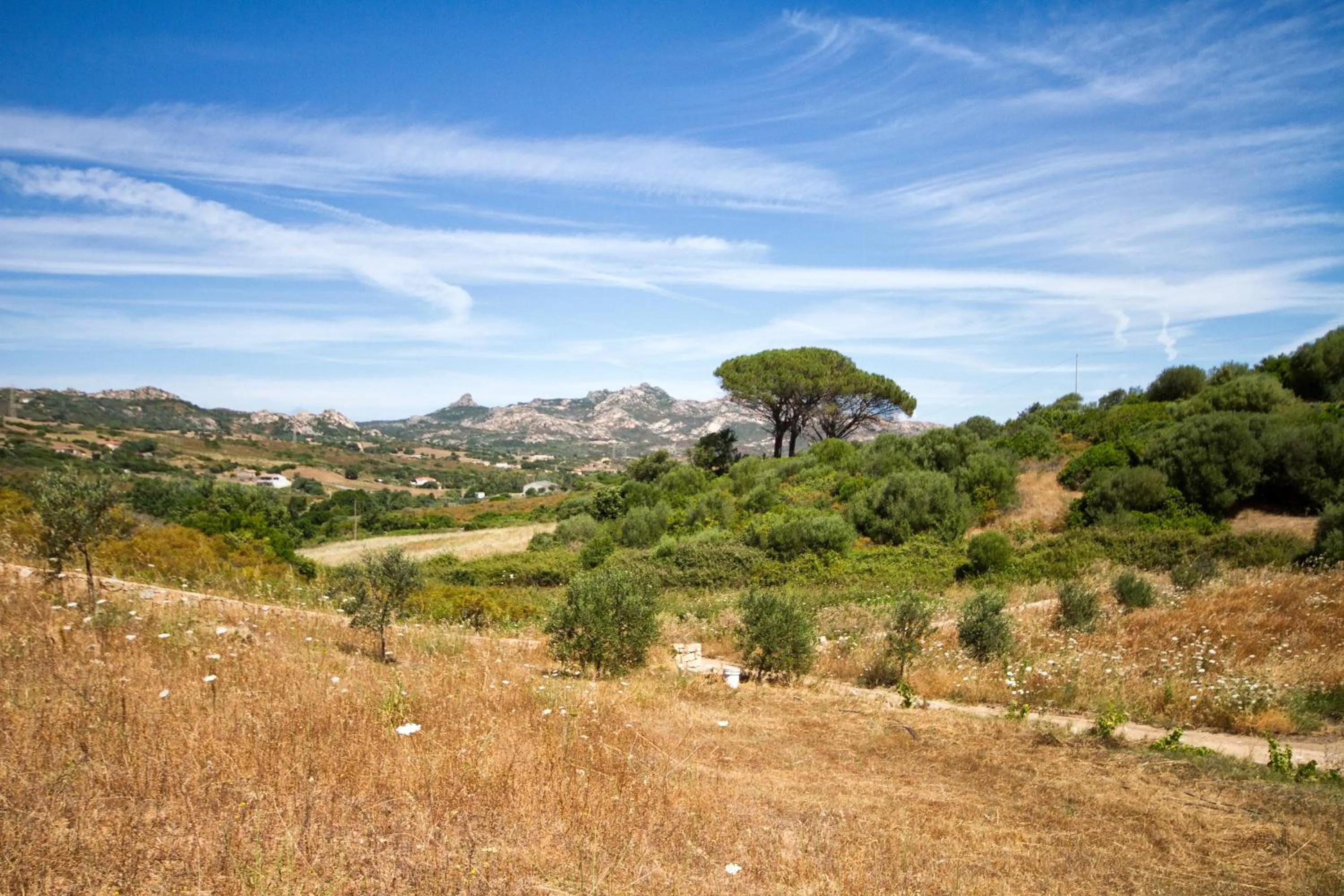 View (from property/room) in Casa La Liccia