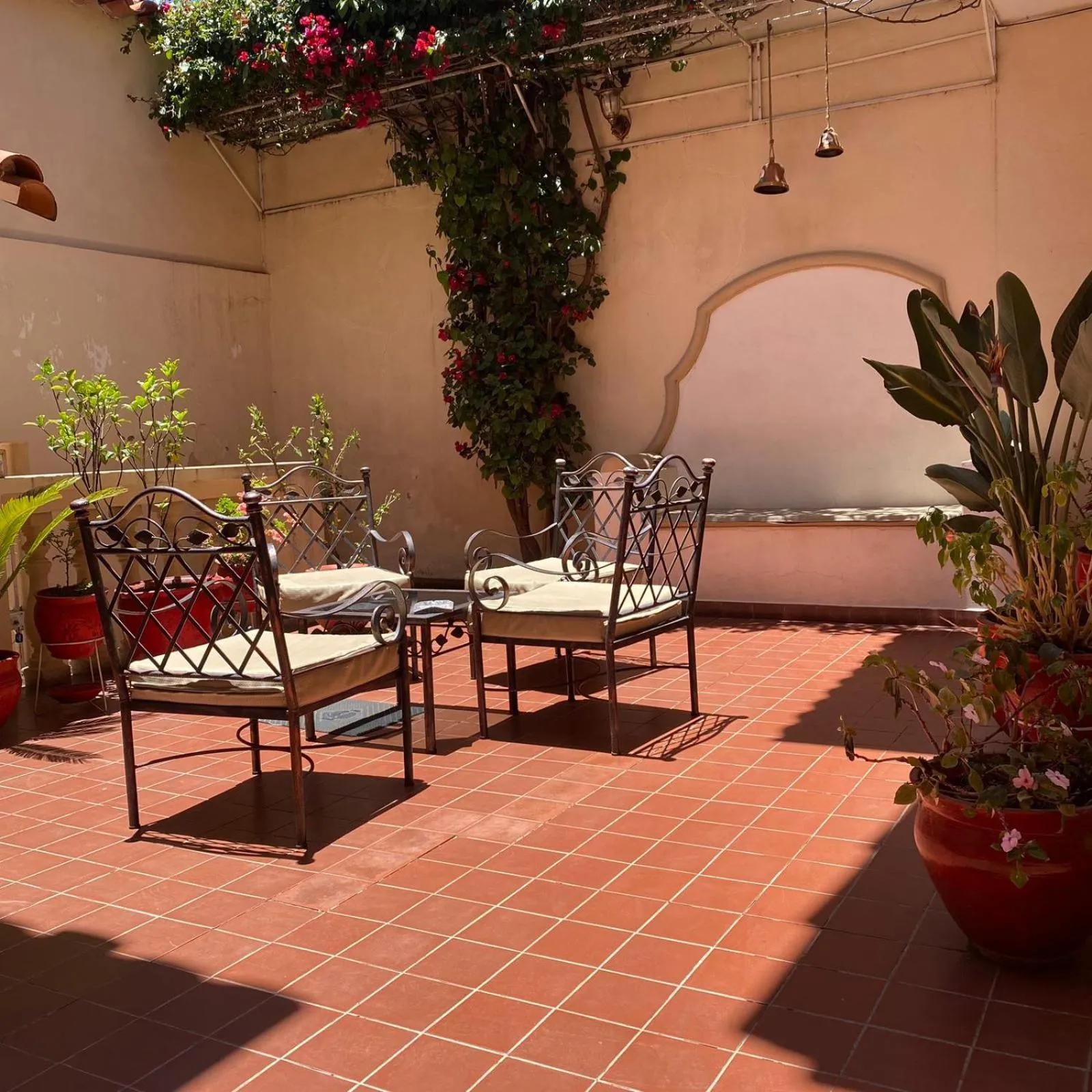 Garden in B&B SANTA CECILIA