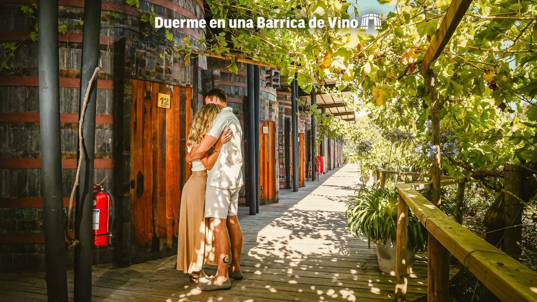 Garden view in Cava Colchagua Hotel Boutique