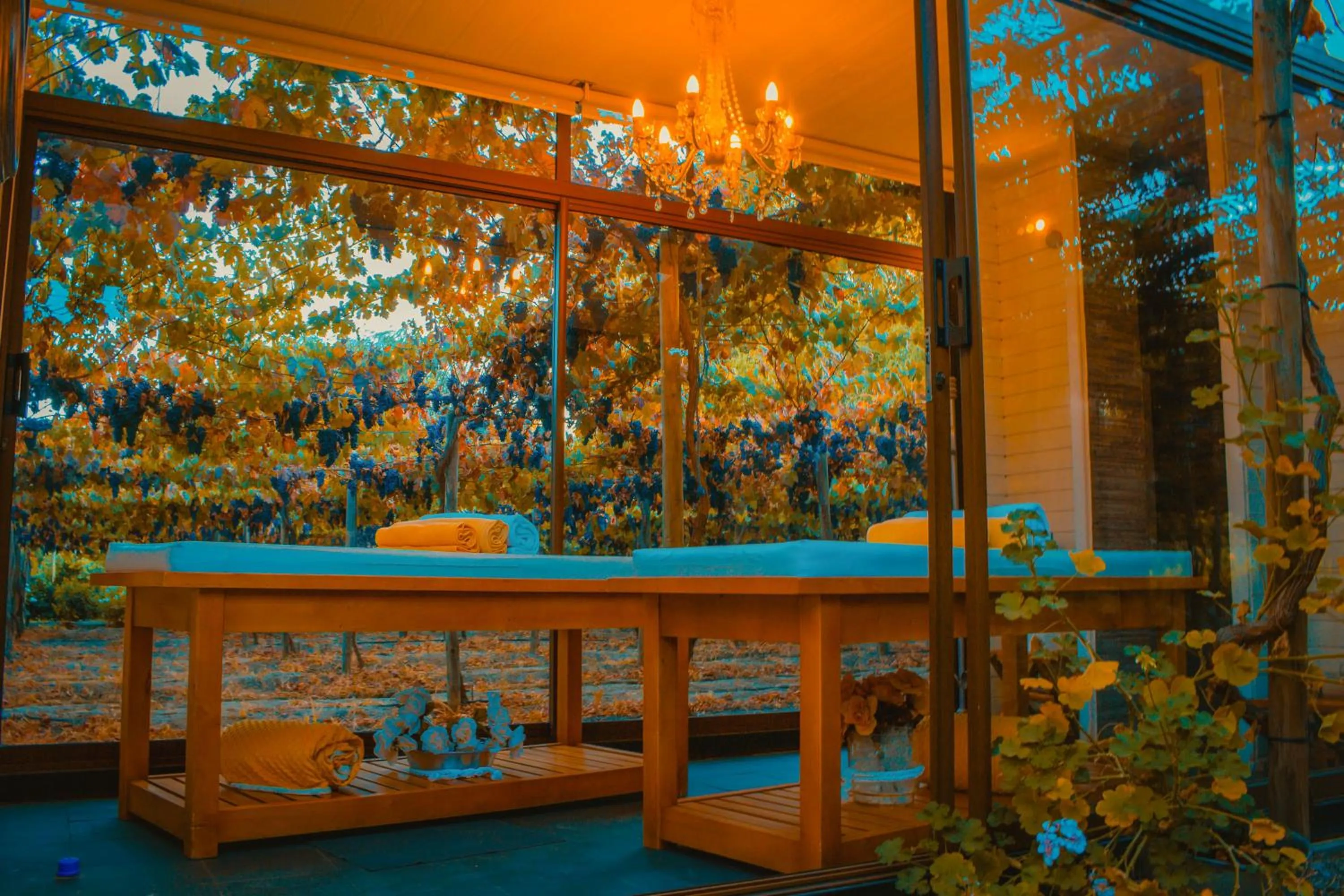 Spa and wellness centre/facilities in Cava Colchagua Hotel Boutique